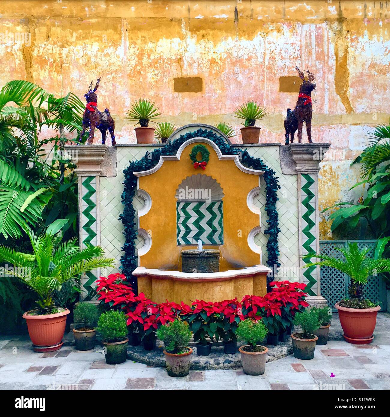 Christmas in Antigua, Guatemala Stock Photo Alamy