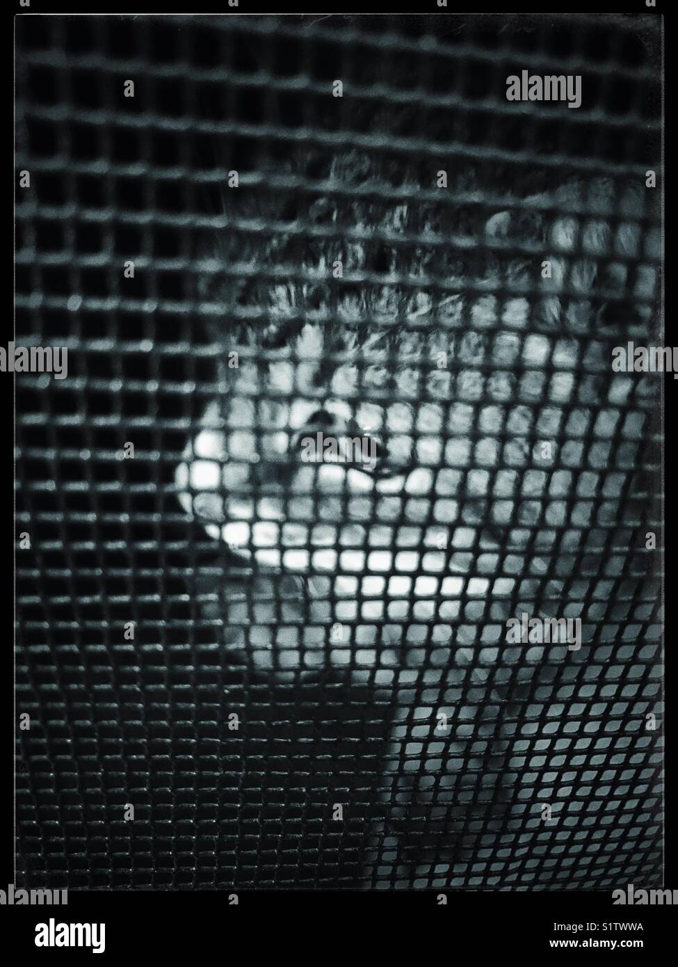 Cat in carrier Stock Photo - Alamy