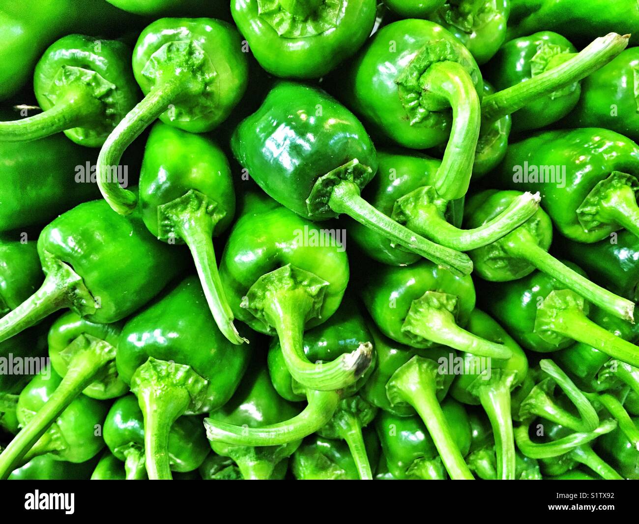 Pile green peppers on market hi-res stock photography and images - Alamy