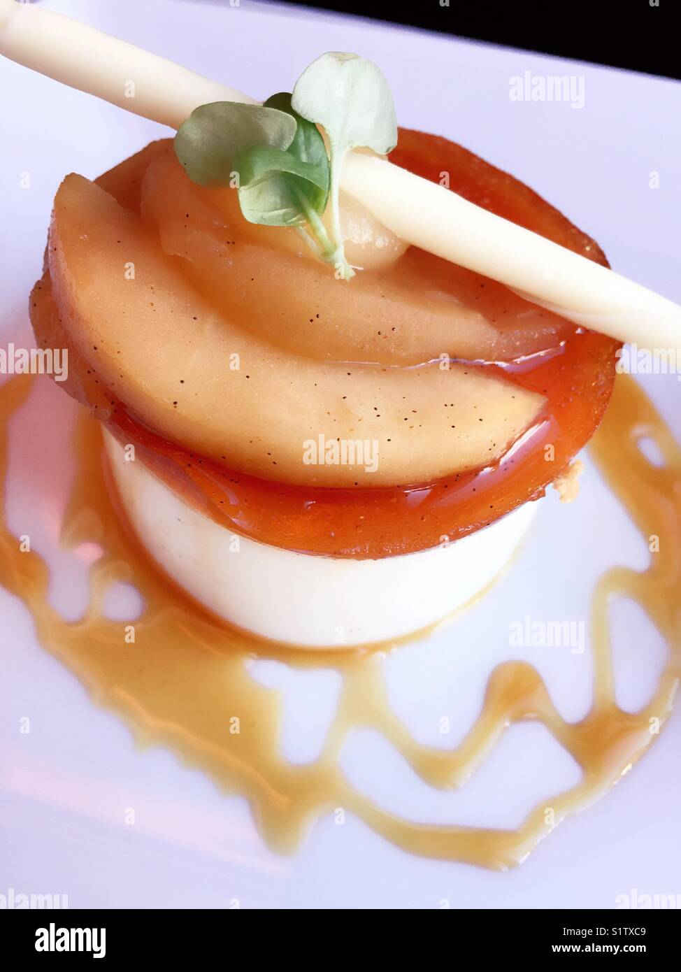 Flan dessert with white chocolate garnish, upscale gourmet restaurant, USA - Smartphone Captured Stock Image