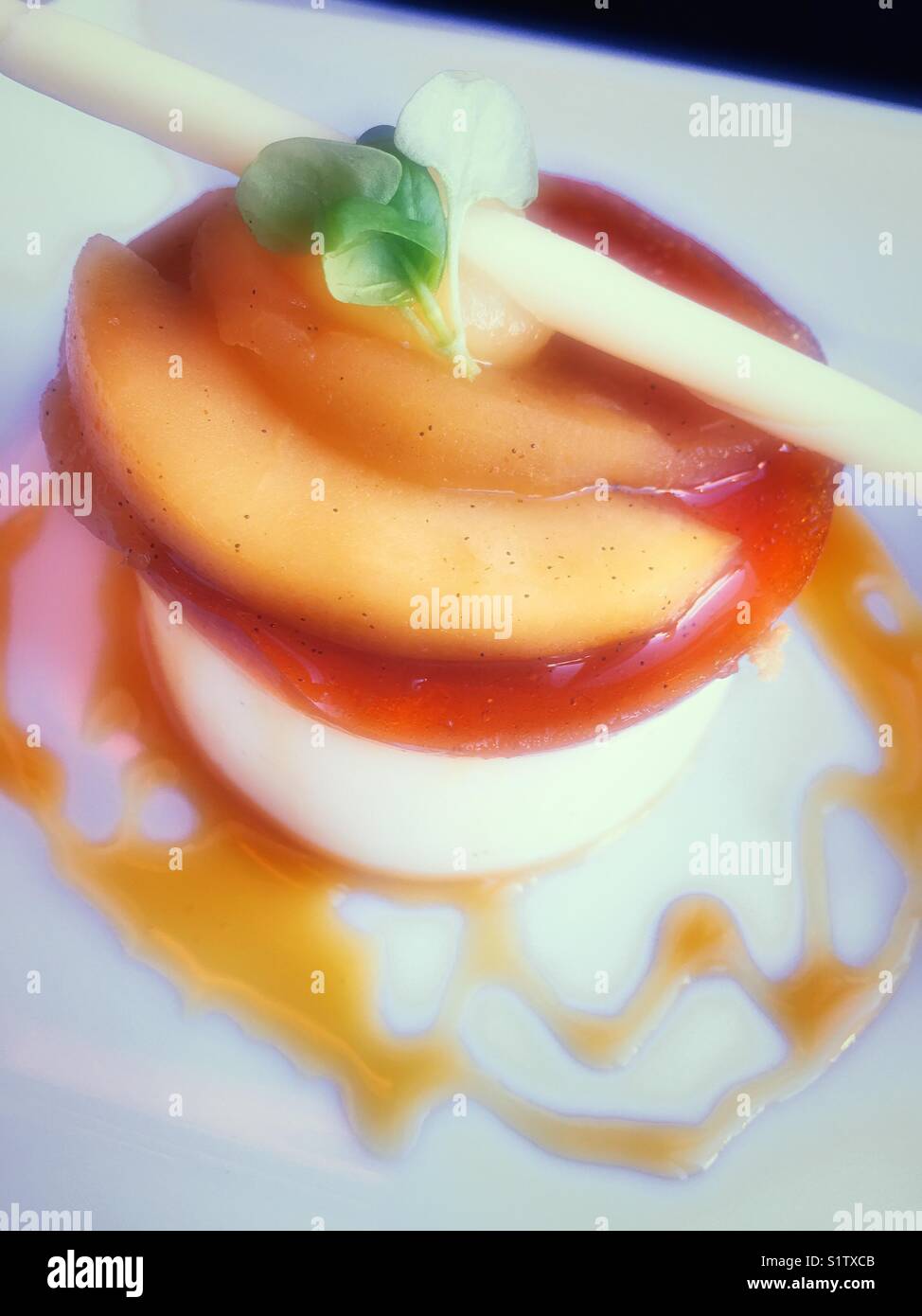 Flan dessert with white chocolate garnish, upscale gourmet restaurant USA - Smartphone Captured Stock Image