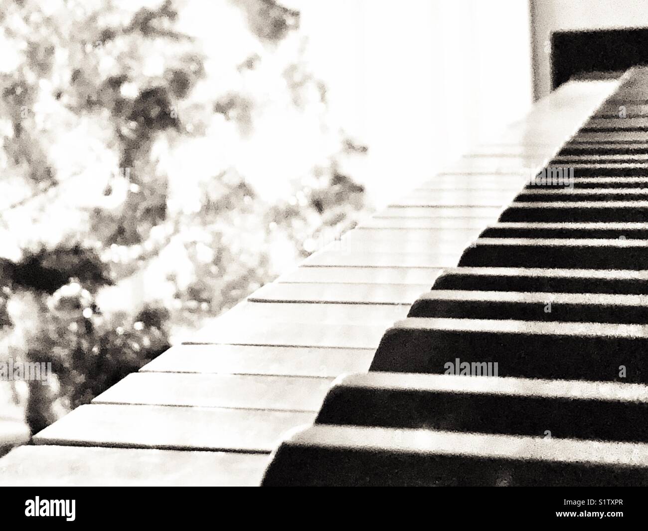 Piano keys with Christmas tree lit up in background Stock Photo