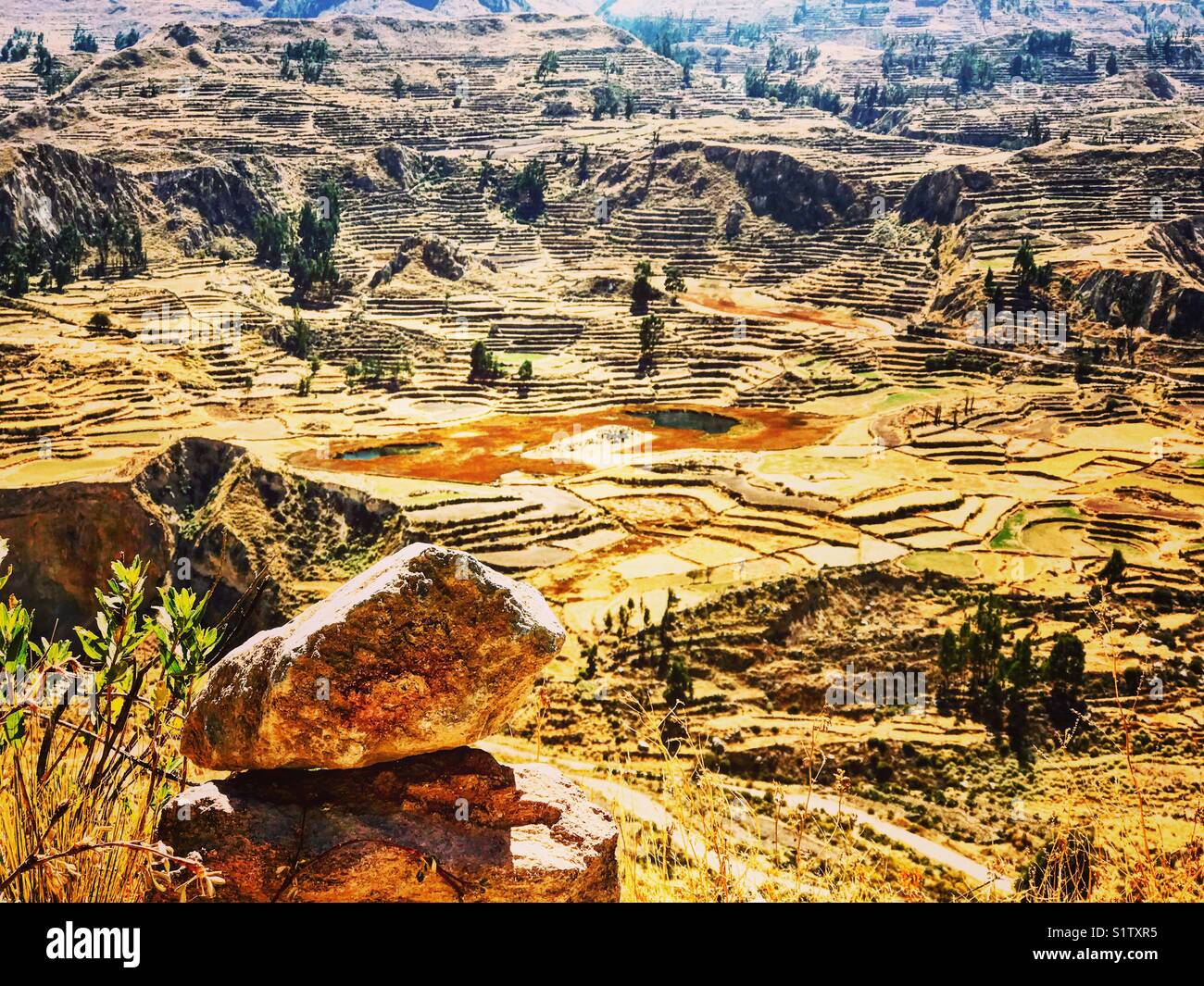 Agricultural terraces of Colca Valley, Arequipa, Peru Stock Photo
