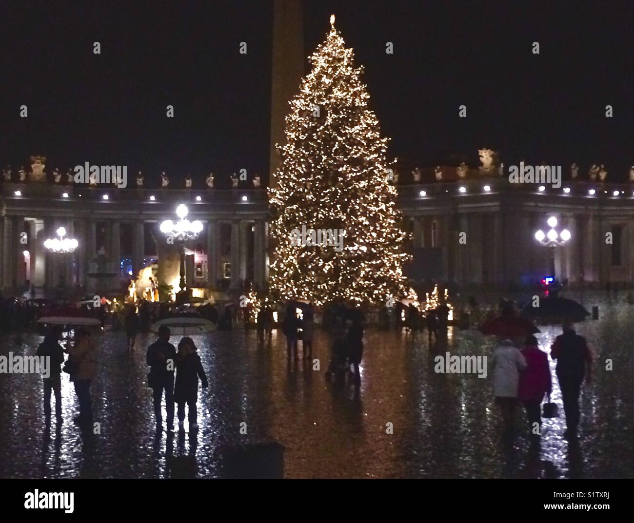 Christmas tree at night in St. Peters square, Vatican city - Smartphone Captured Stock Image