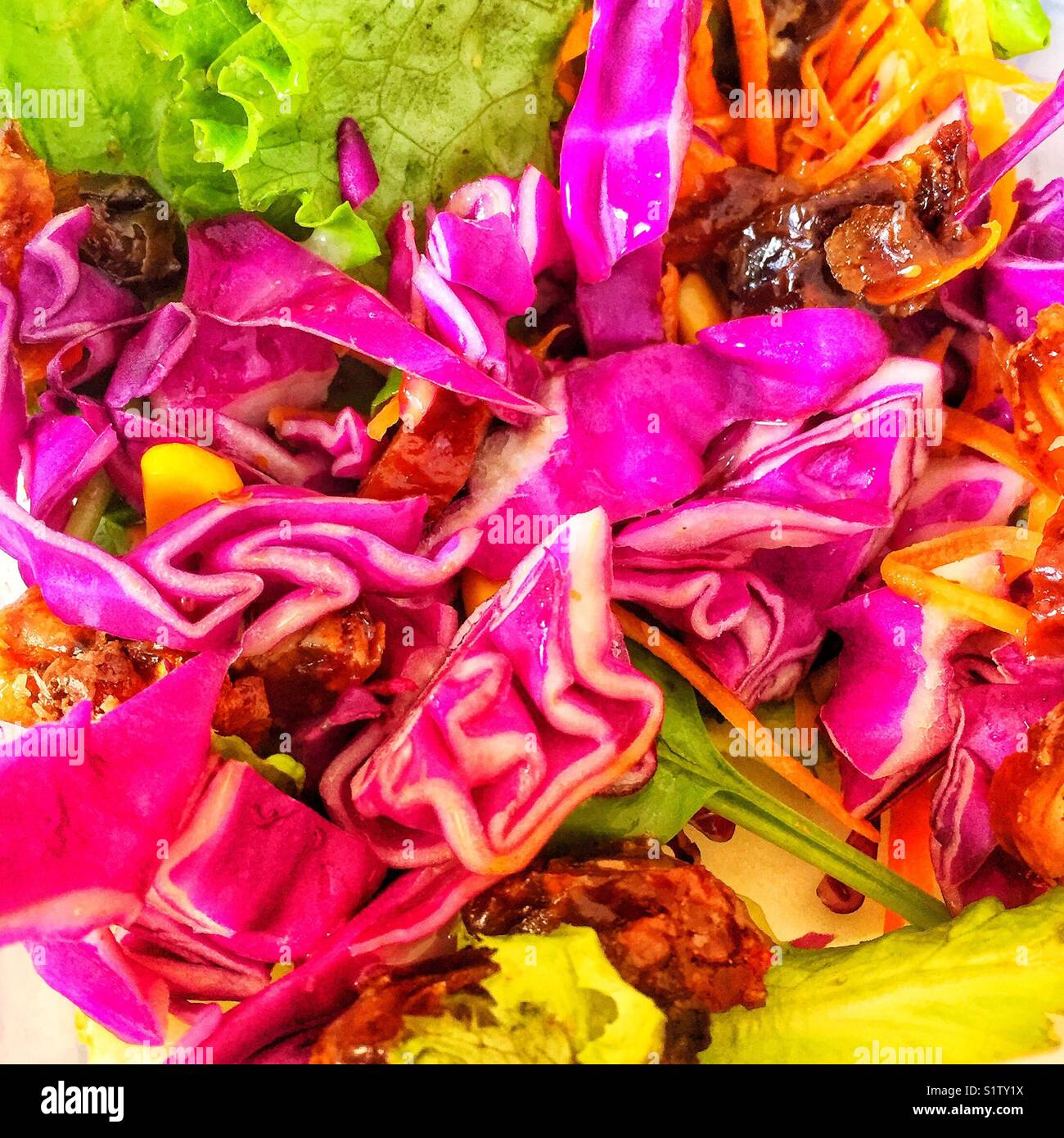 Colourful sweet and crunchy salad with red cabbage and dates Stock Photo