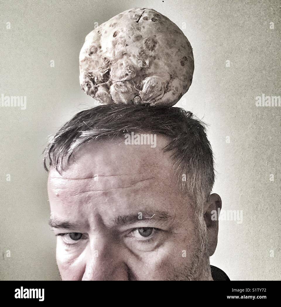 Two heads hires stock photography and images Alamy