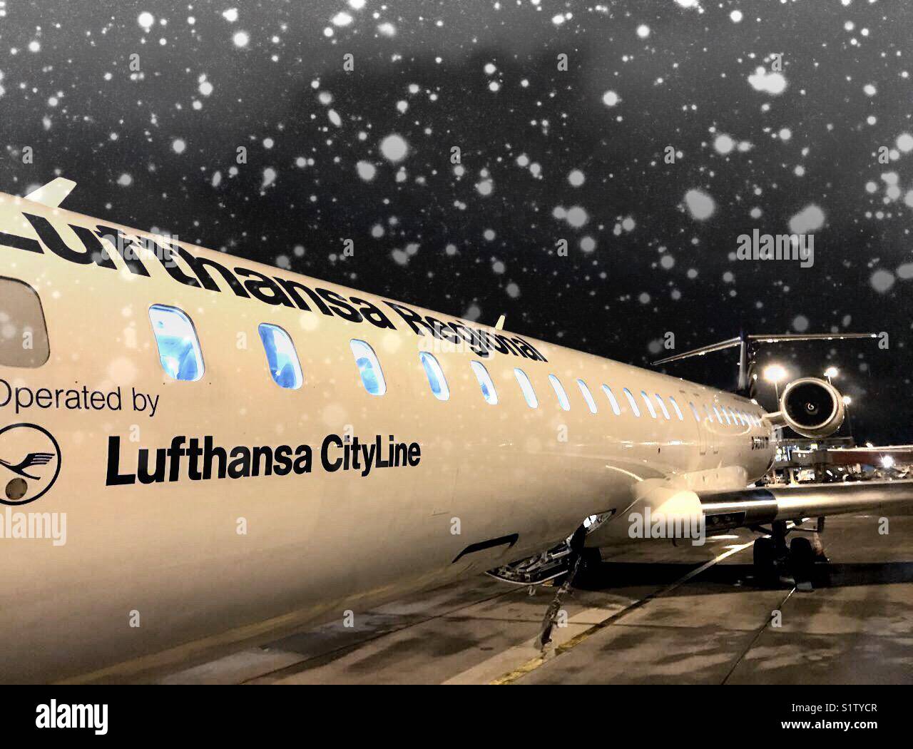 Fly, into winter! - Smartphone Captured Stock Image