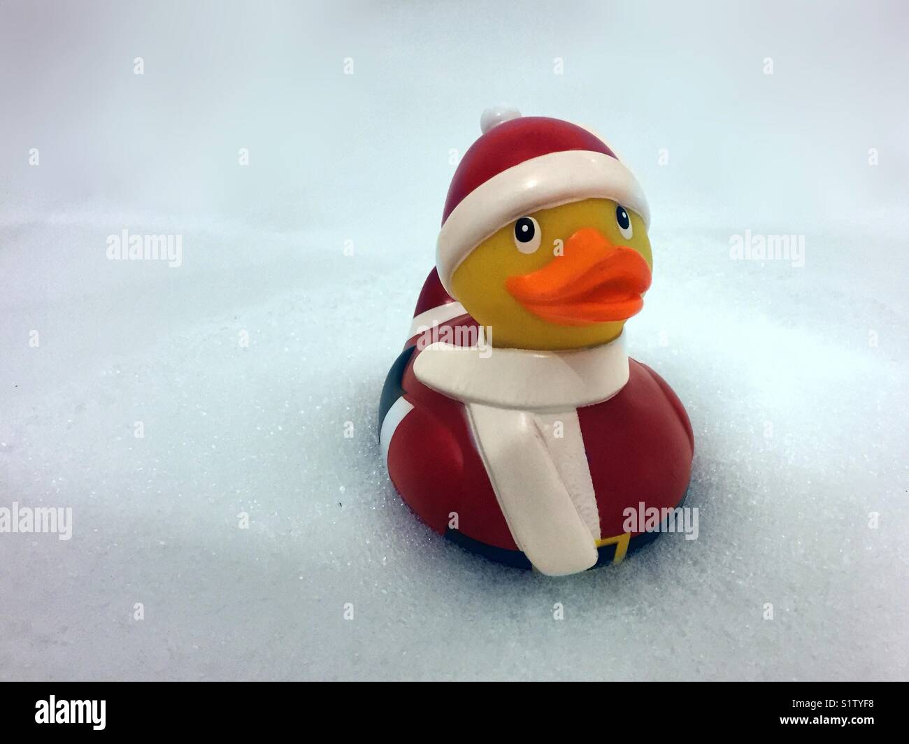 Santa  snowman duck fun cute Christmas - Smartphone Captured Stock Image