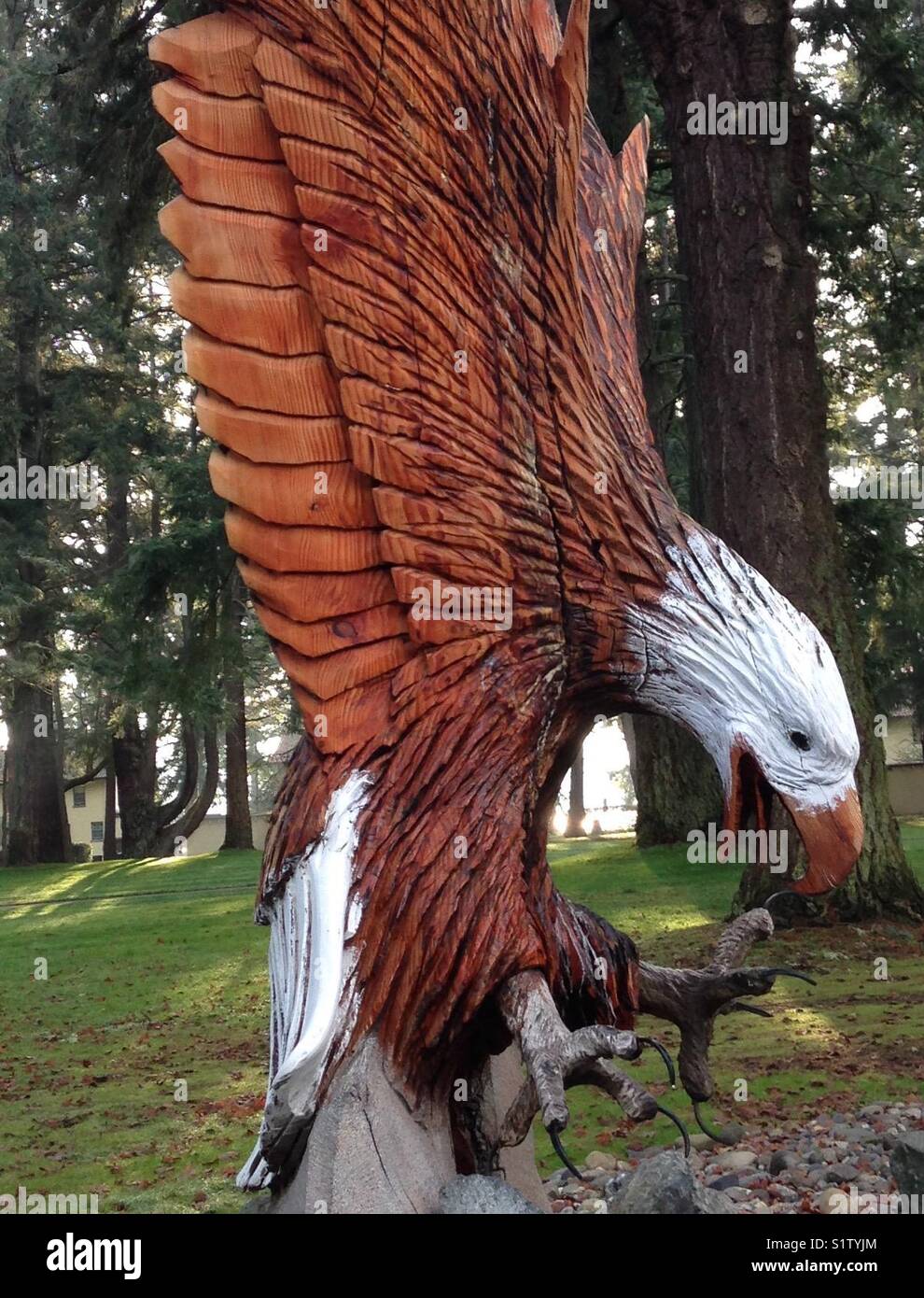 Huge eagle statue on the campus of the Veterans hospital in WA