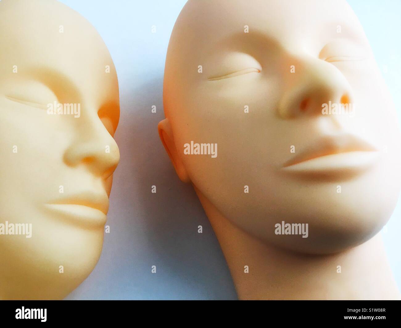 Two rubber human looking heads next to each other. Stock Photo