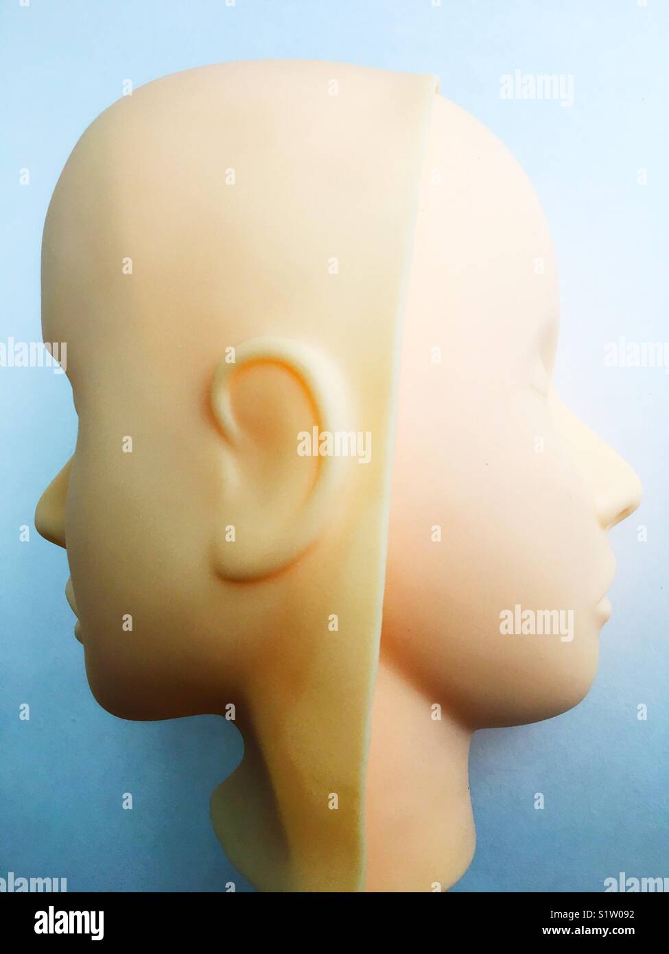 Two rubber faces, connected but facing opposite directions. Stock Photo