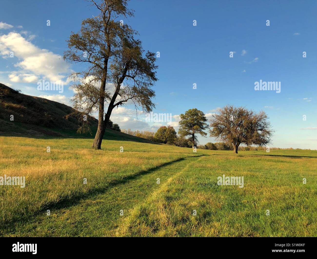 Monks Mound Trail (Cahokia Mounds) Stock Photo