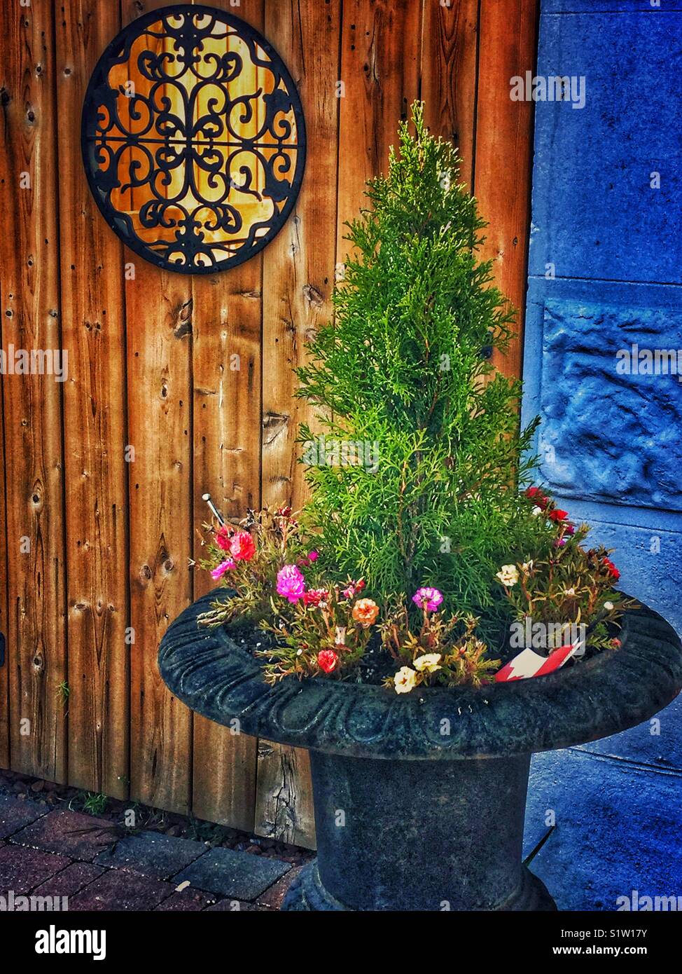 Planter adorns a wooden door in a terrace area. - Smartphone Captured Stock Image