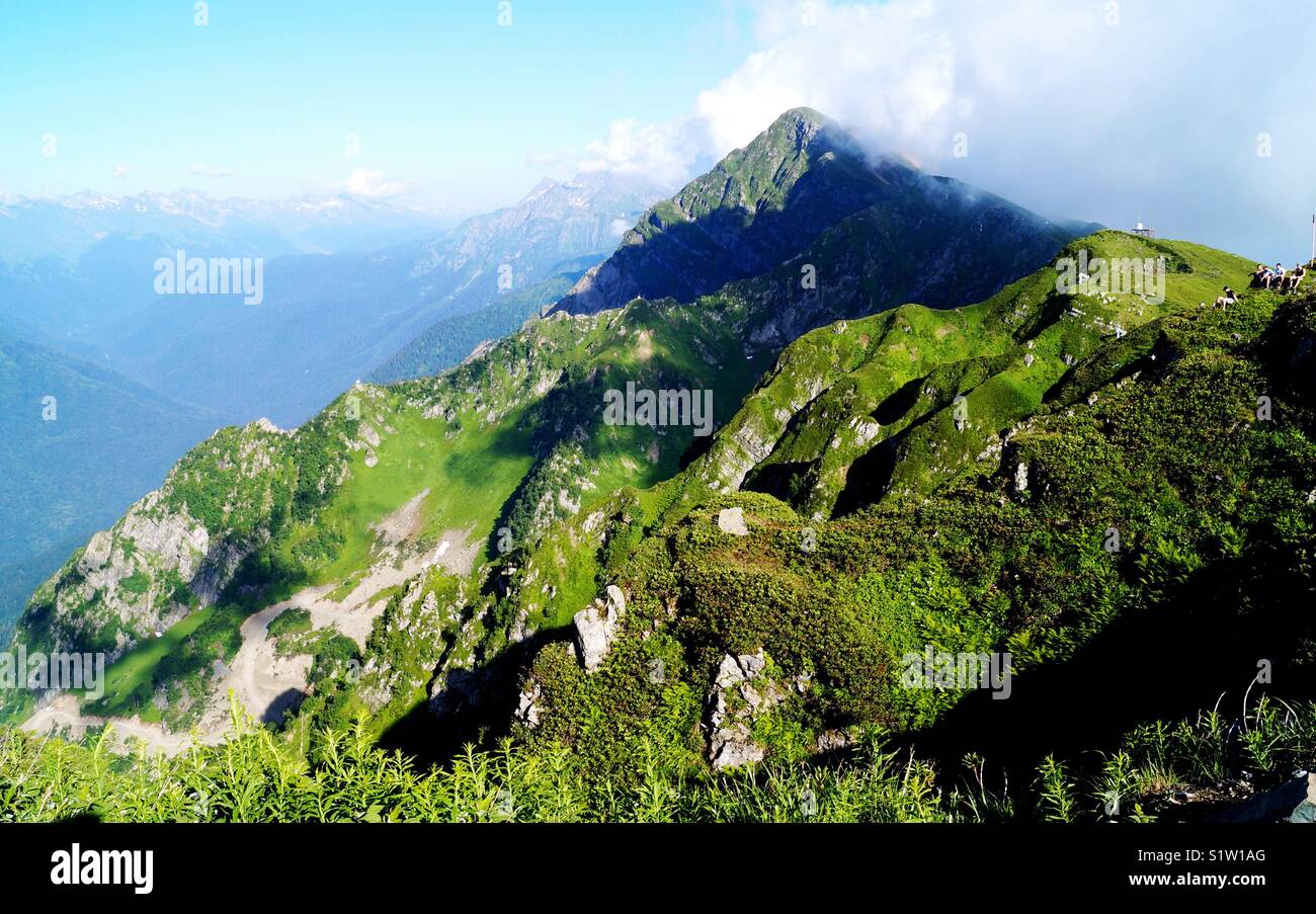summer in the mountains - Smartphone Captured Stock Image