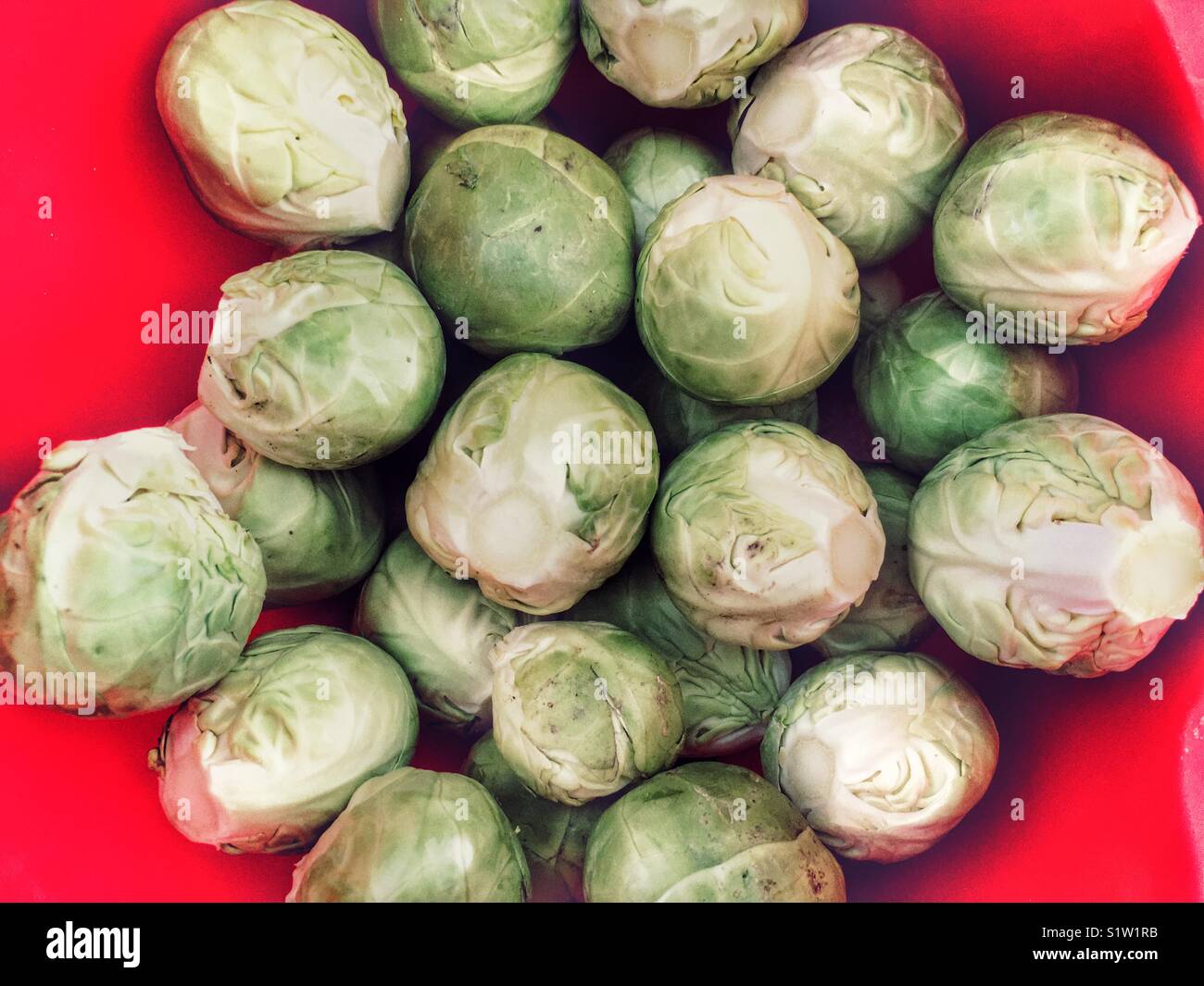 Brussel sprouts - Smartphone Captured Stock Image