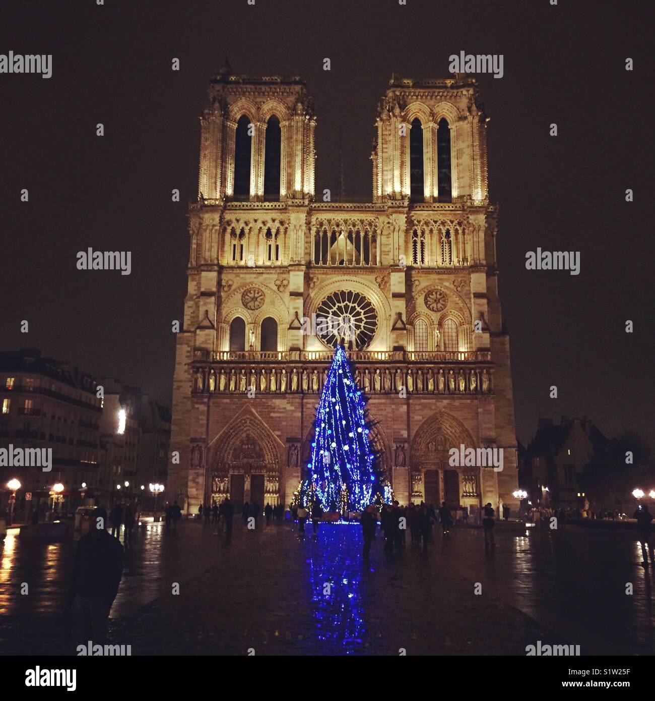 Notre dame cathedral Paris France - Smartphone Captured Stock Image