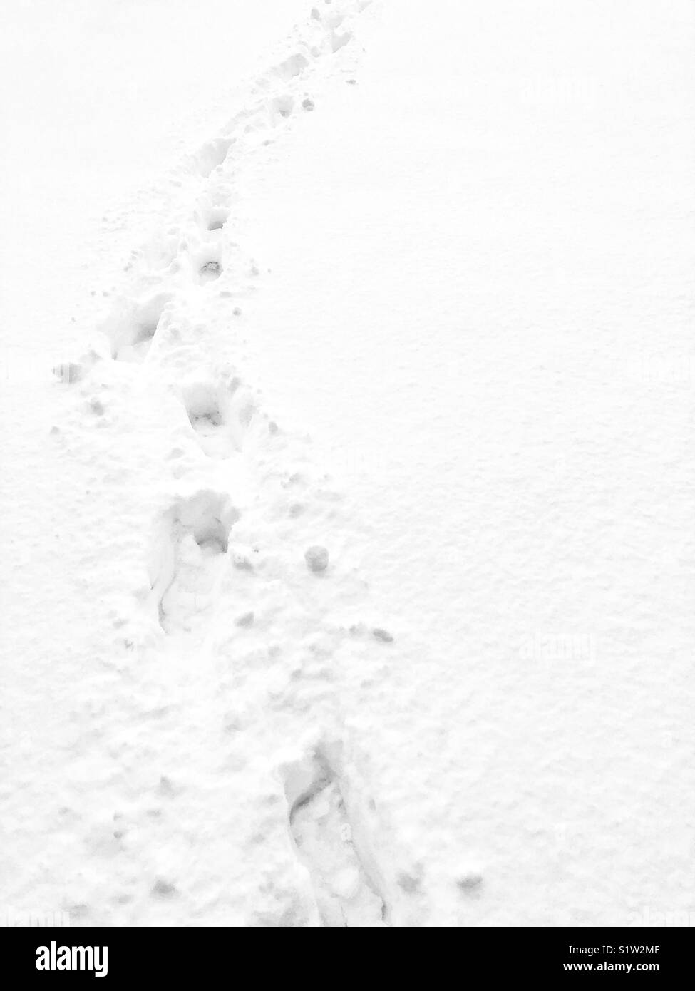 Looking back at human footprints in the snow - Smartphone Captured Stock Image