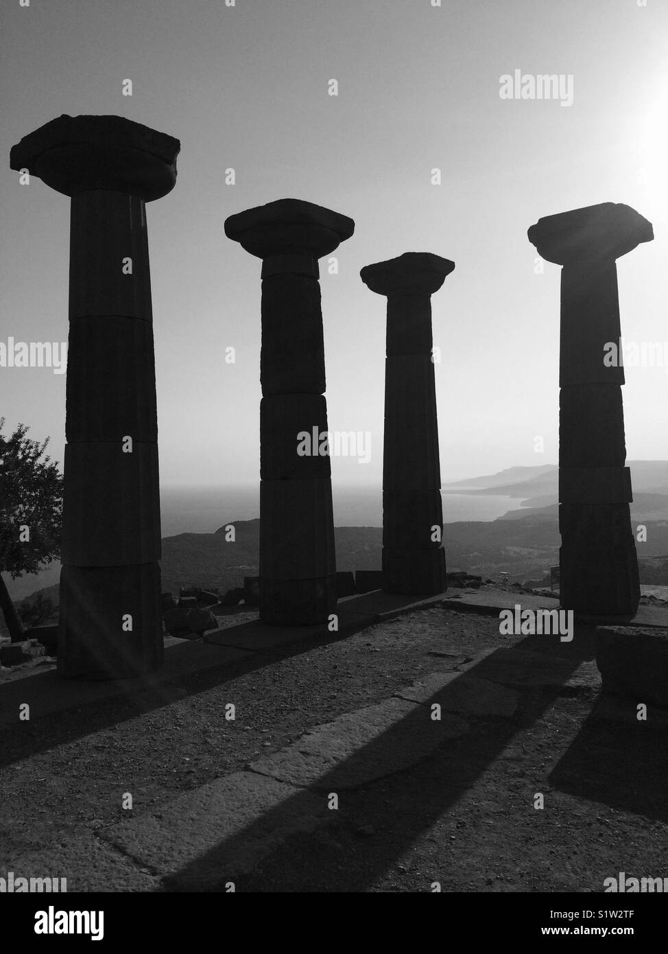 Columns Black and White Stock Photos & Images - Alamy