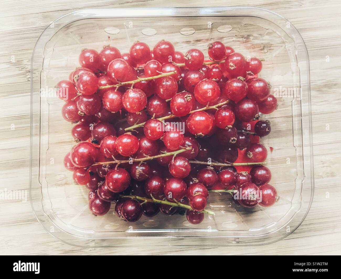 Red currants in a clear plastic tray - Smartphone Captured Stock Image