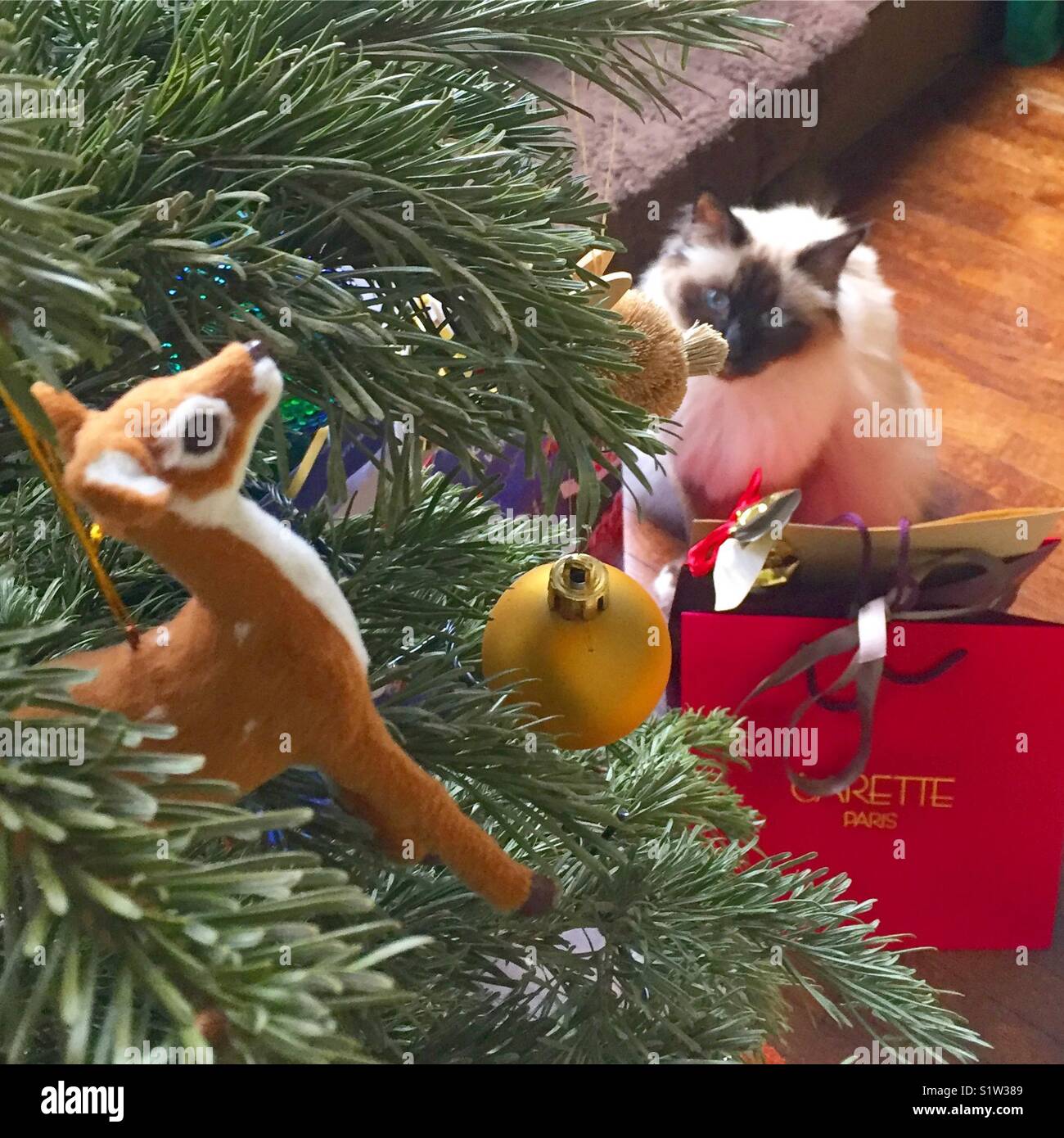 Christmas mood - Smartphone Captured Stock Image