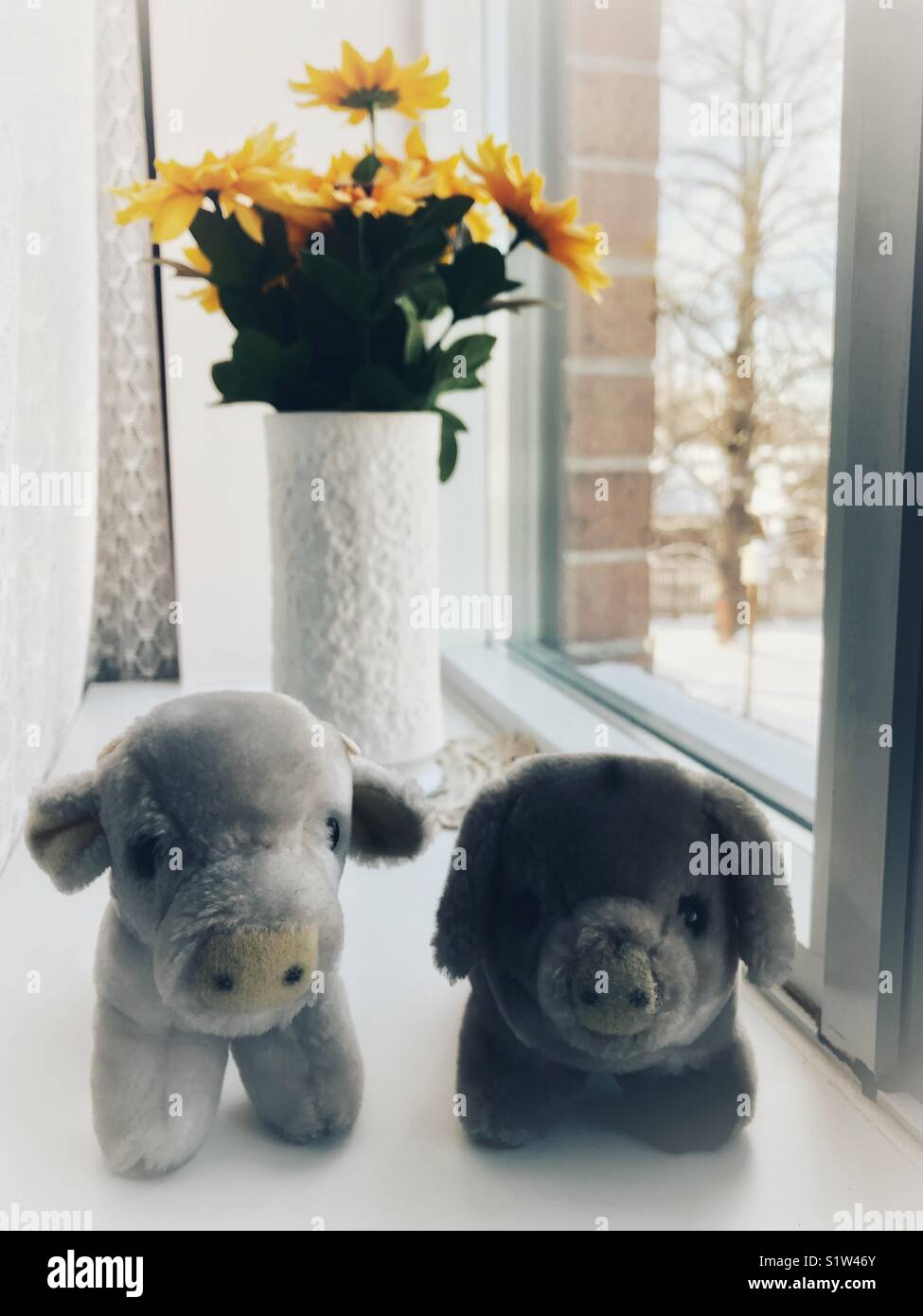 Stuffed animals on a window sill. - Smartphone Captured Stock Image