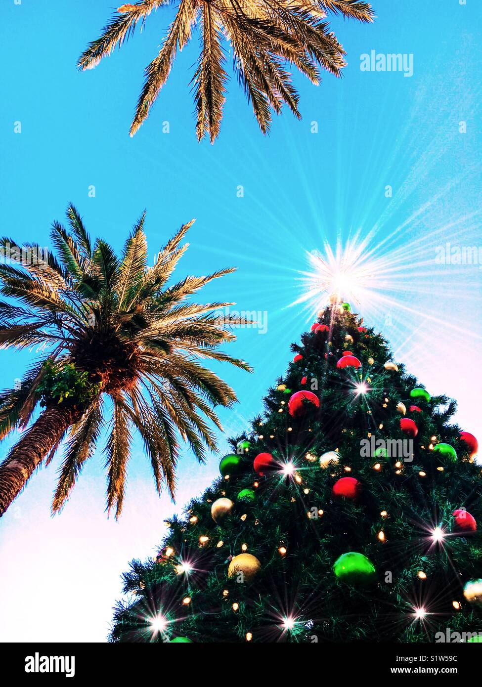Christmas in the tropics - Smartphone Captured Stock Image