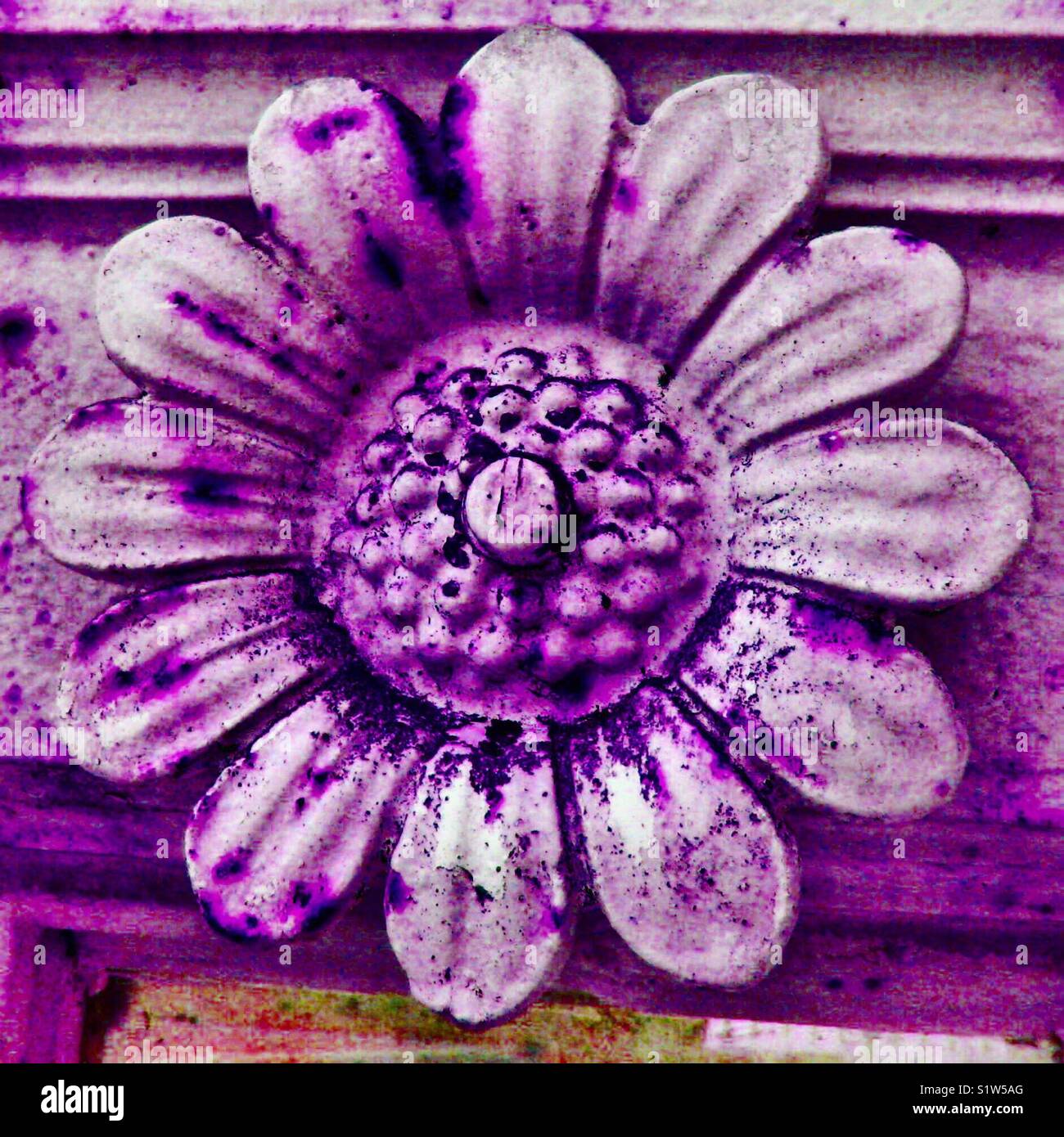 Rusted metal flower in purple Stock Photo Alamy