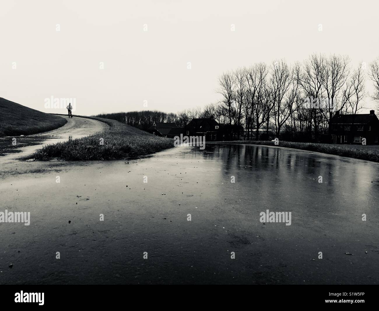 Dutch dike with reflections in the road Stock Photo Alamy