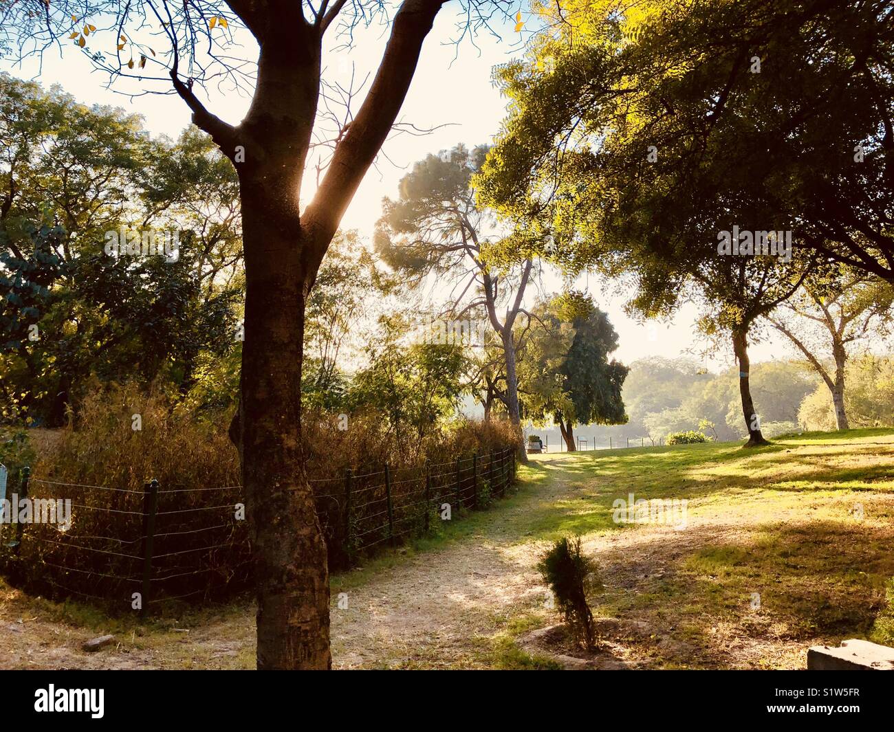 Beautiful Landscape of national zoological park,New Delhi India Stock Photo