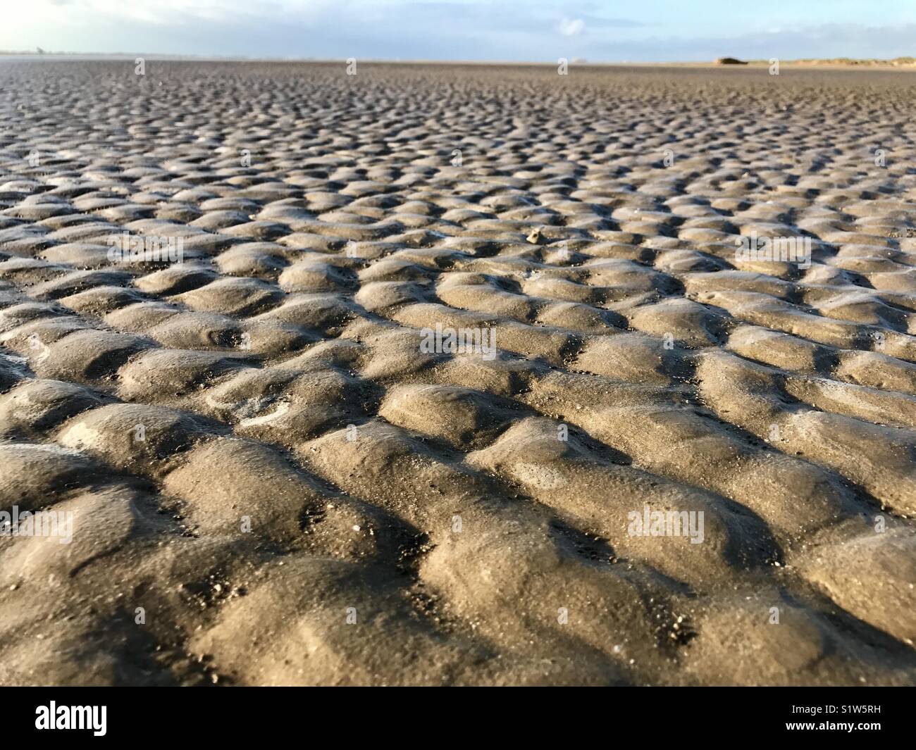 Low tide at beach Stock Photo Alamy