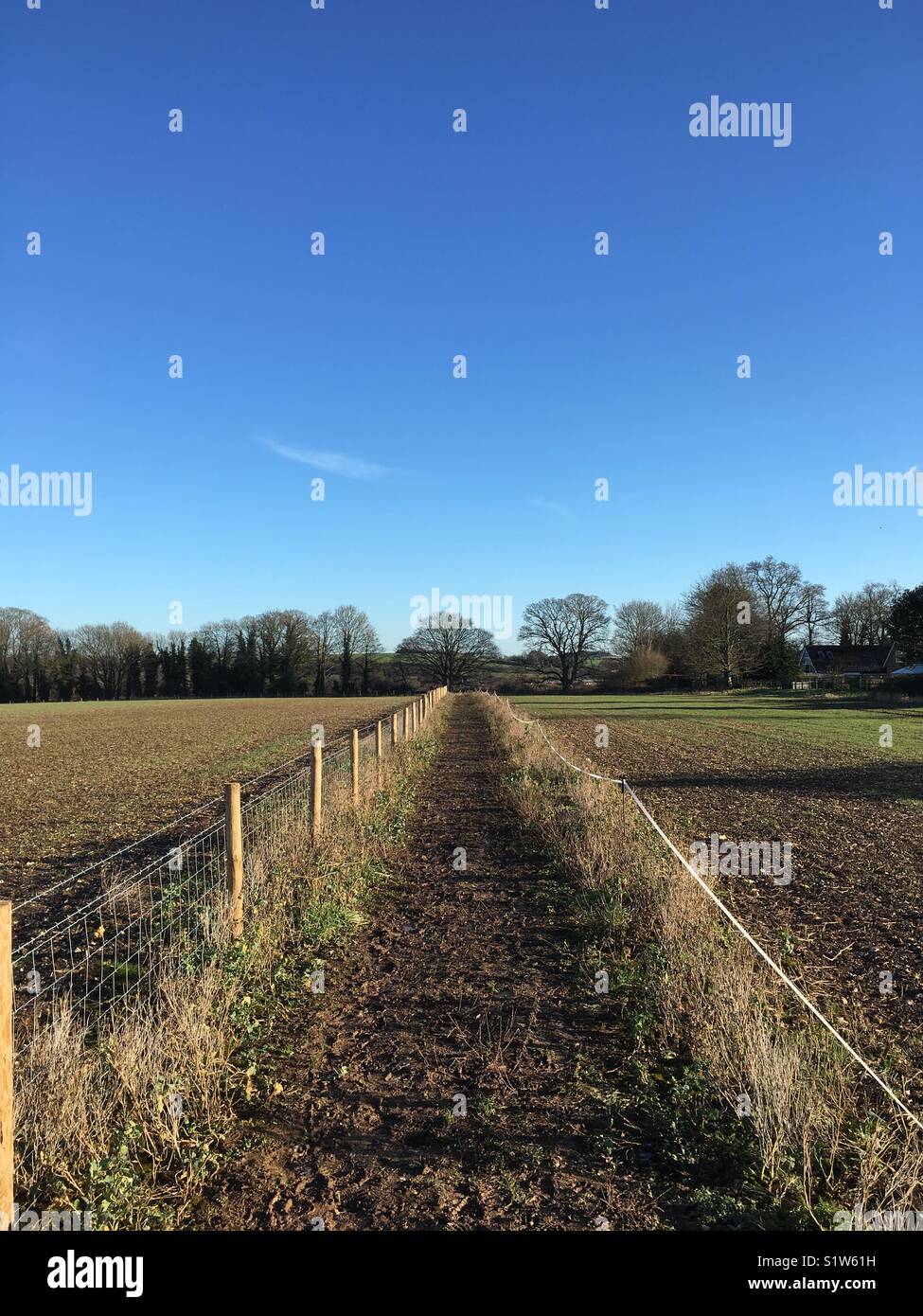 A countryside path - Smartphone Captured Stock Image