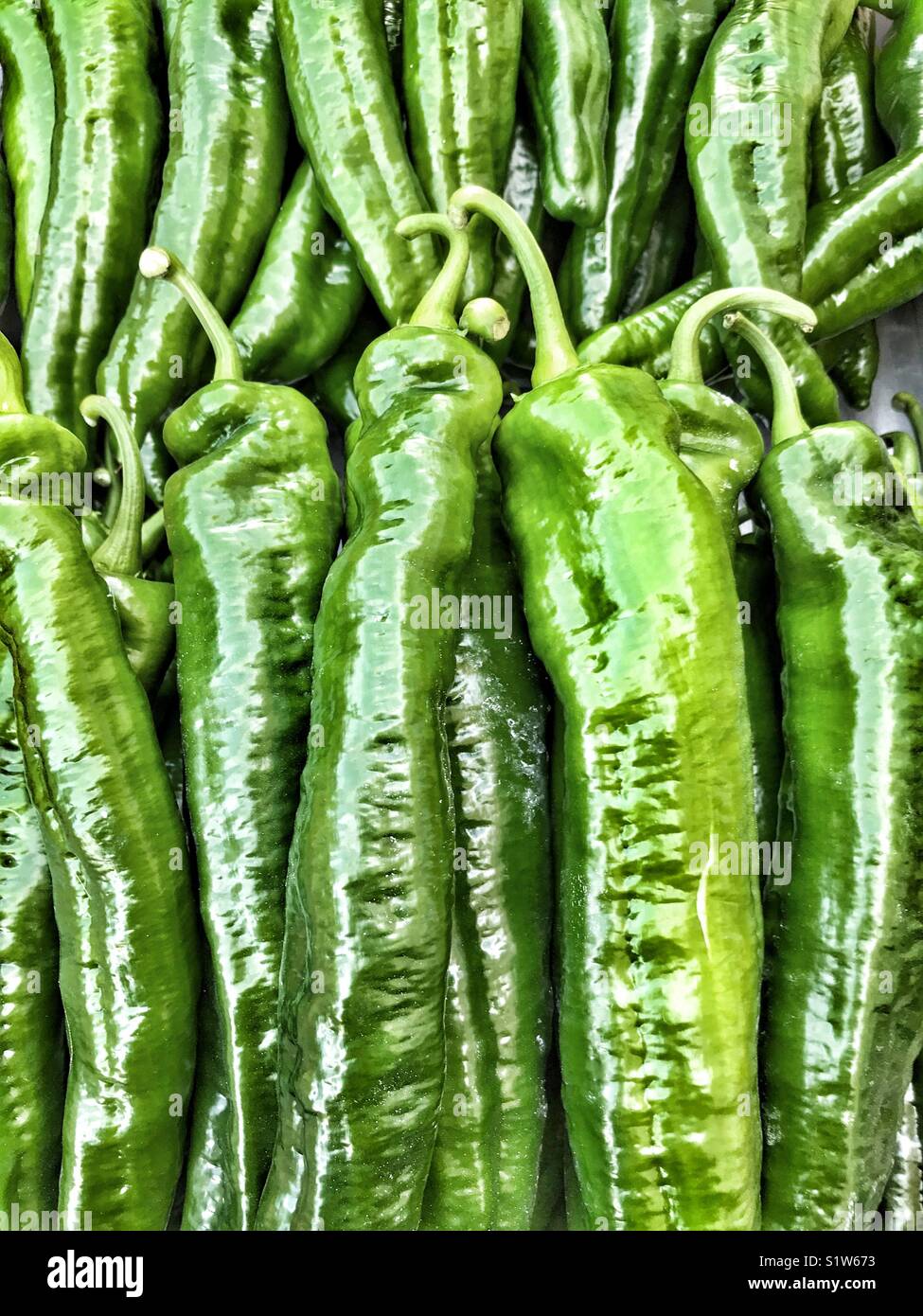 Full frame of green peppers hires stock photography and images Alamy