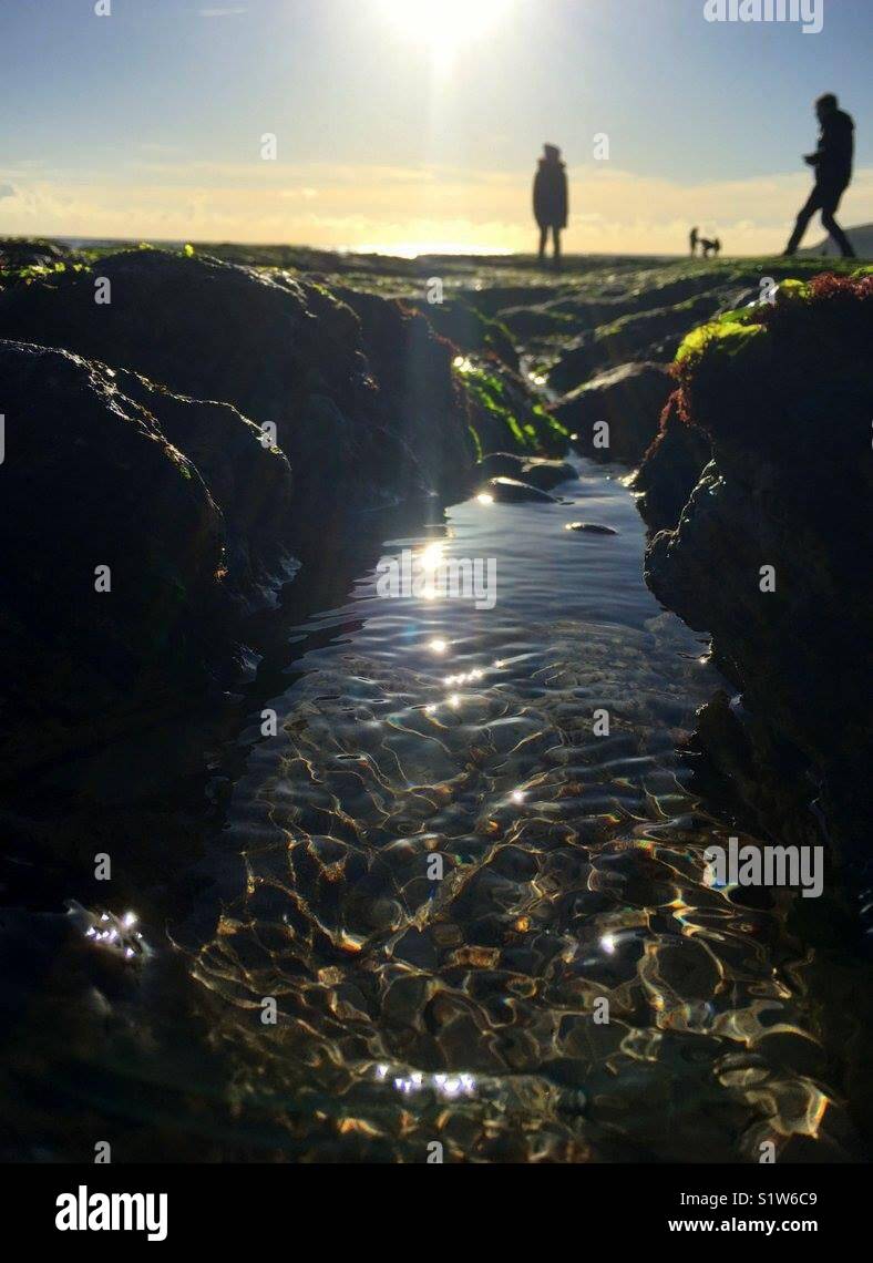 Exploring rock pools - Smartphone Captured Stock Image