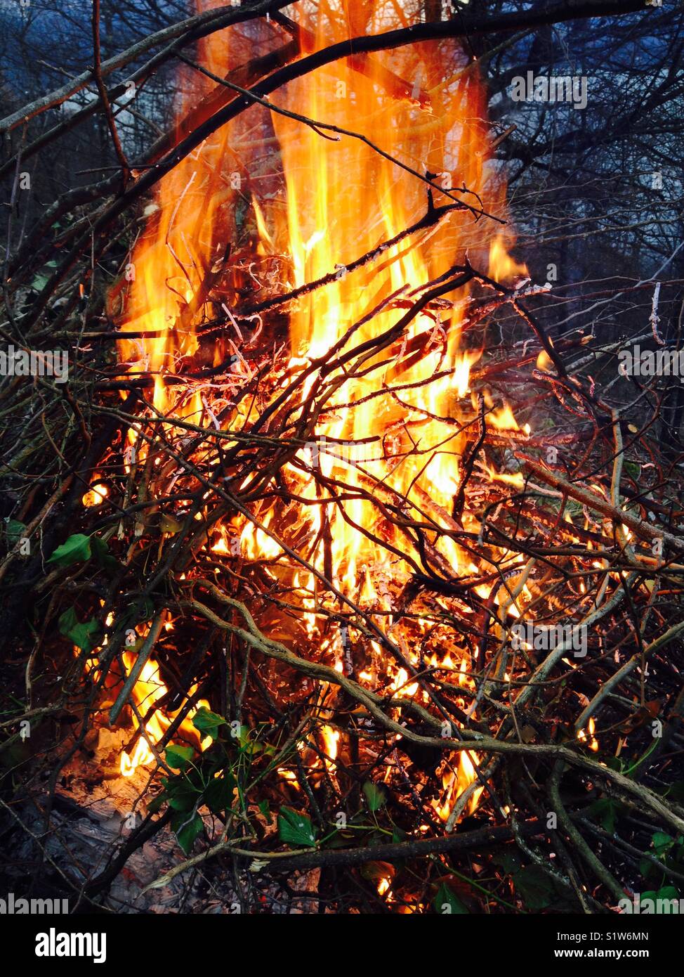 Garden bonfire in the winter. - Smartphone Captured Stock Image