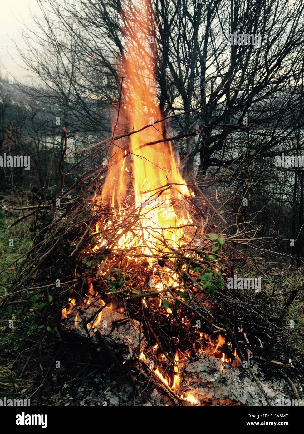 Garden bonfire in the winter. - Smartphone Captured Stock Image