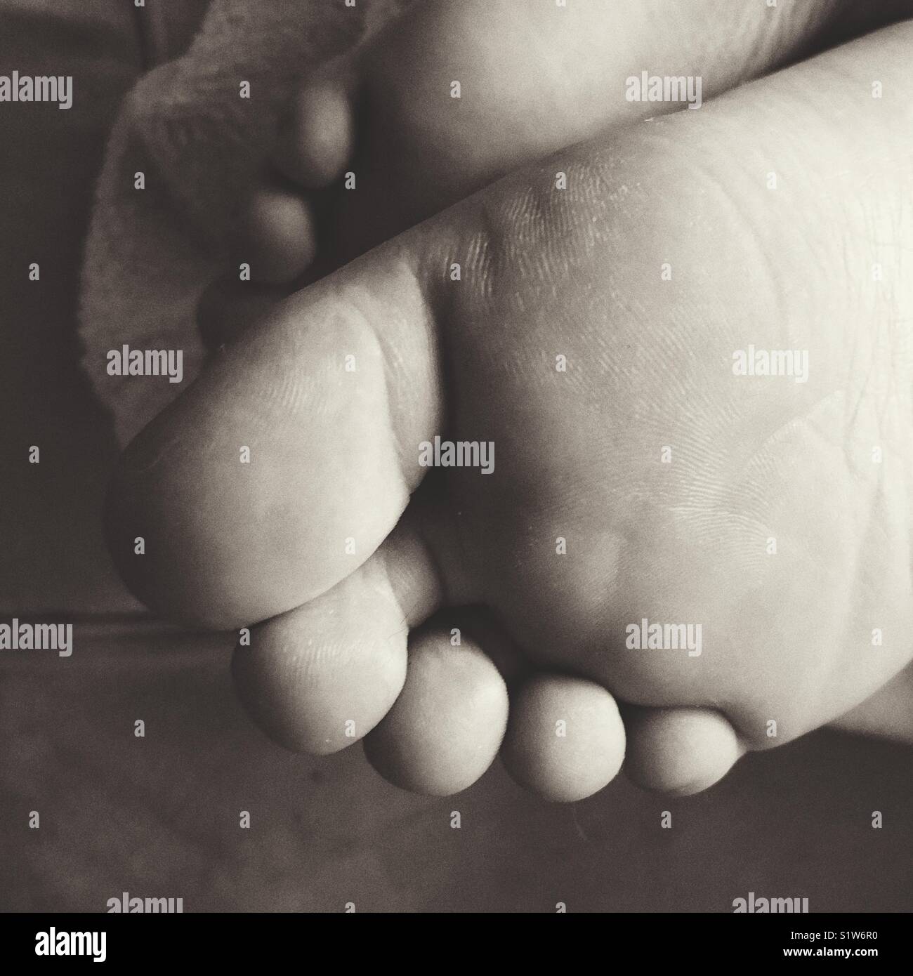 Closeup image of top half of foot sole and toes in black and white - Smartphone Captured Stock Image