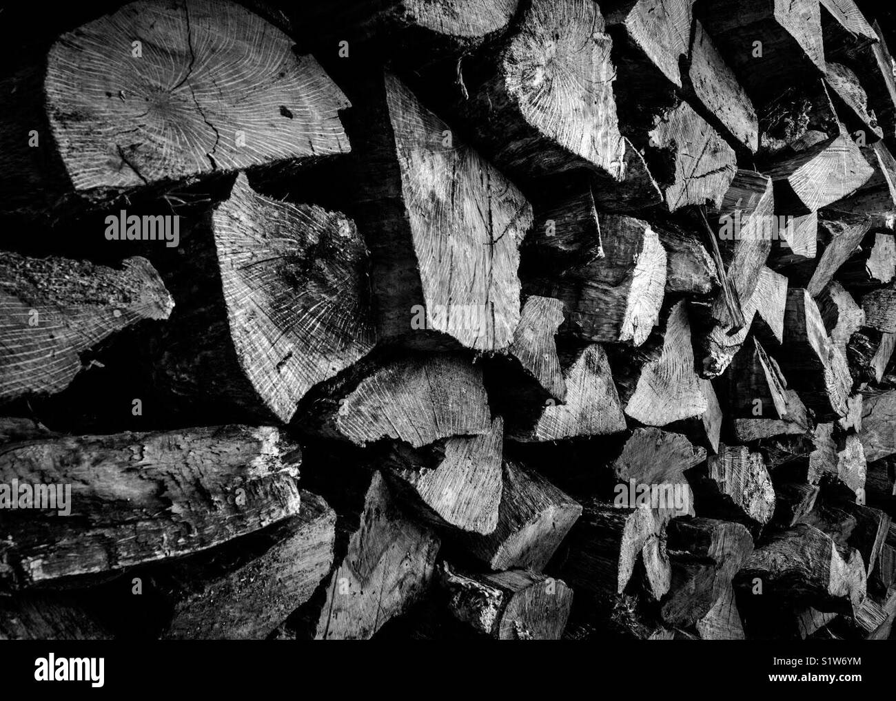 Log pile wood chopping.  Chopped logs - Smartphone Captured Stock Image