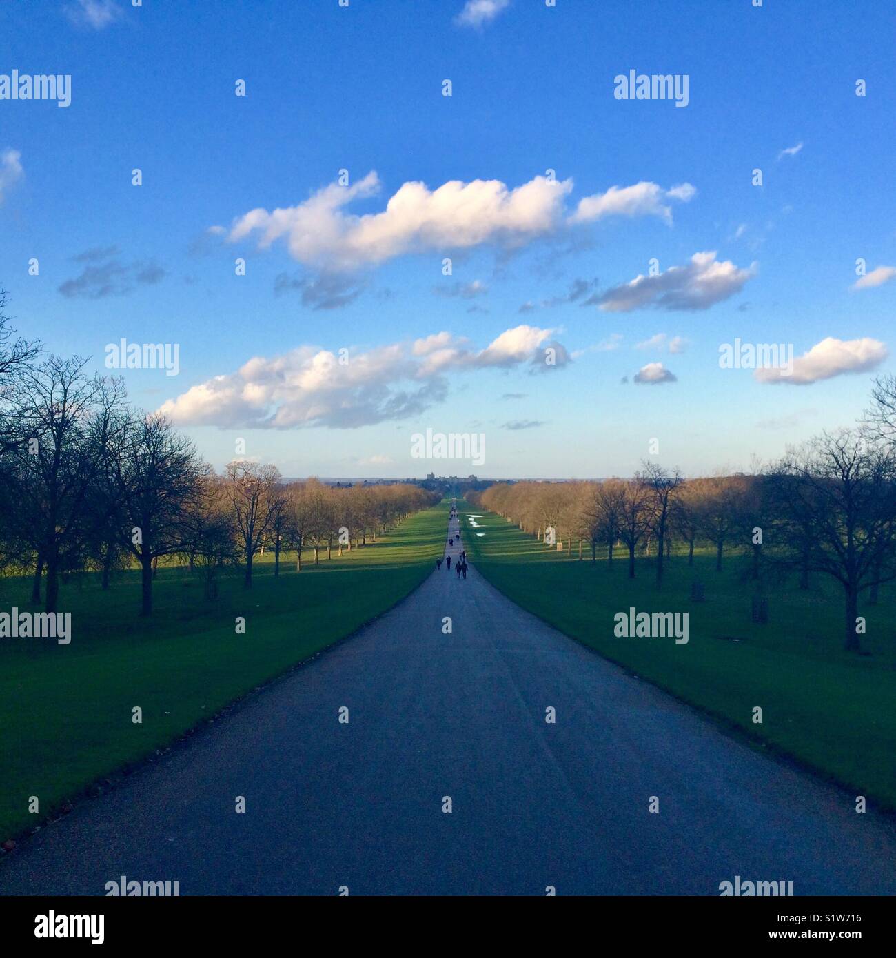 My Image 15
