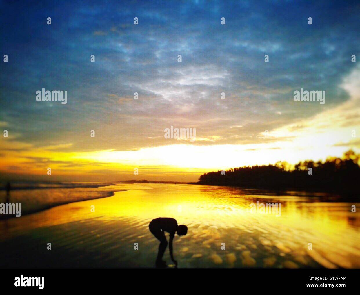 Picking shells hi-res stock photography and images - Alamy