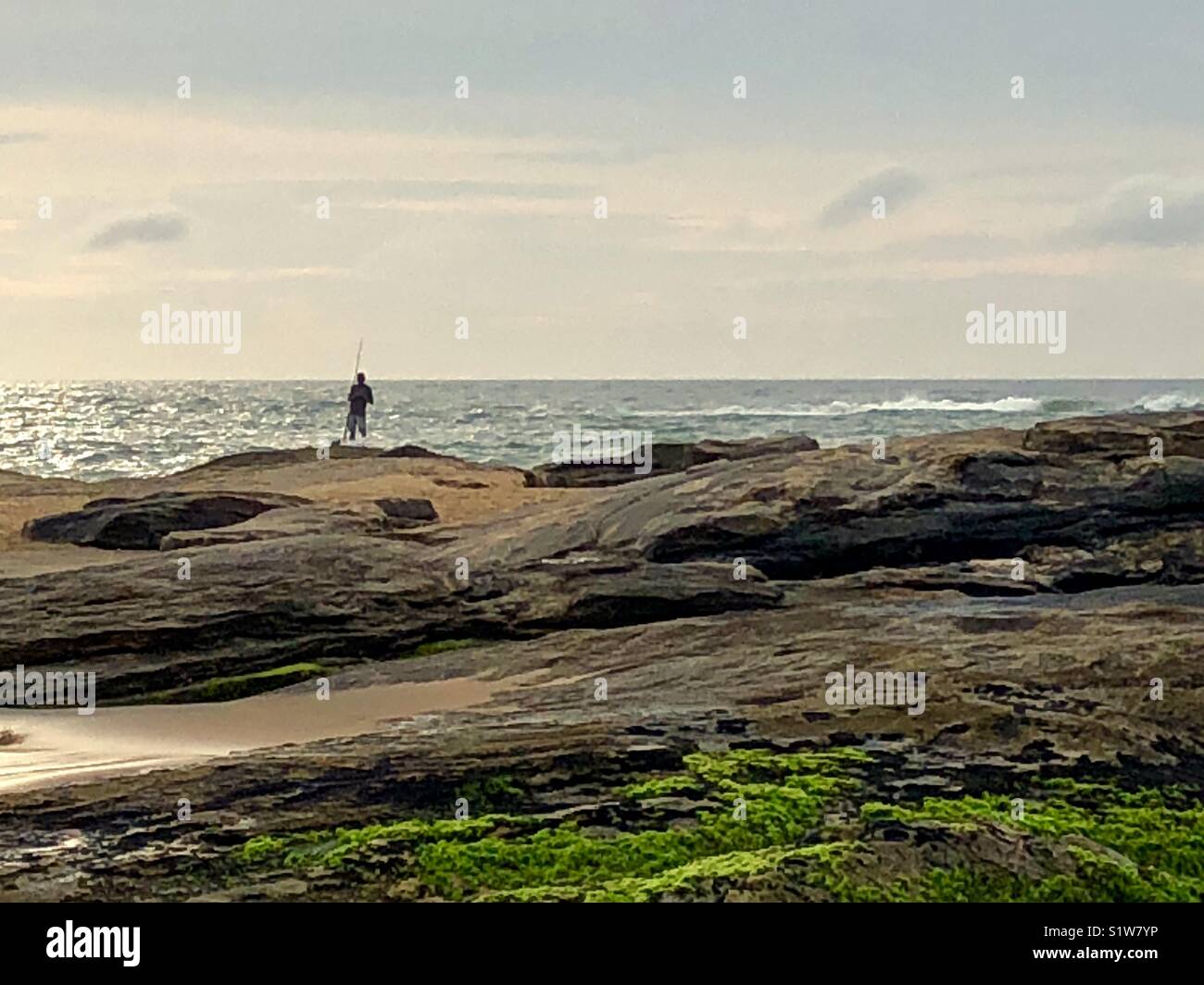 Earlybird, Macae, RJ, Brazil Stock Photo - Alamy