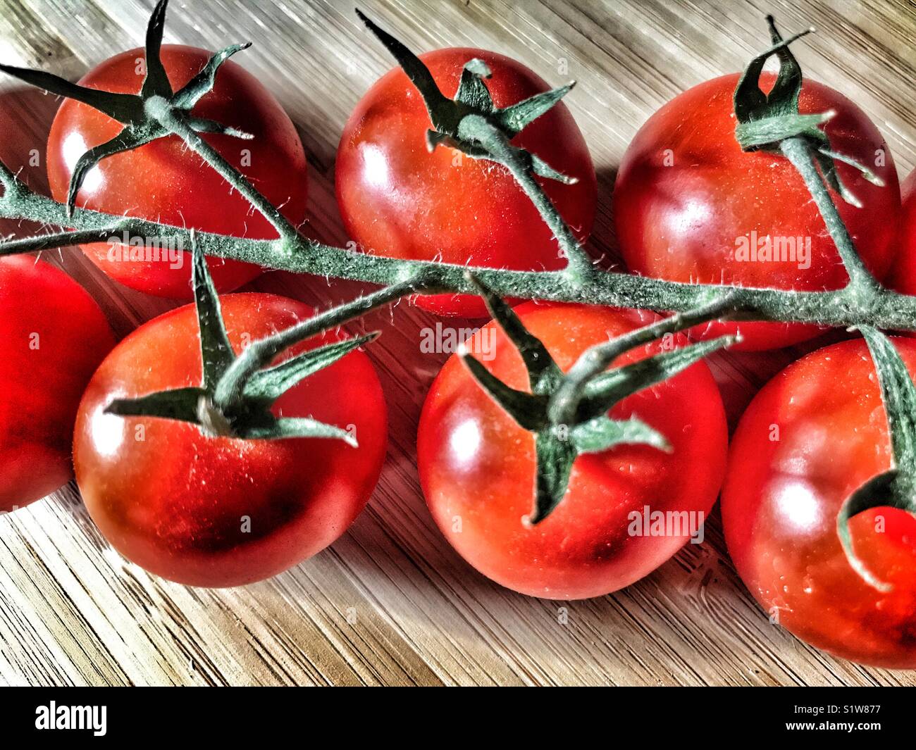 Cherry tomatoes, freshly picked - Smartphone Captured Stock Image