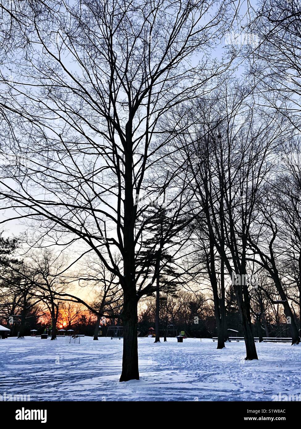 Tranquility in the park as the sun sets. - Smartphone Captured Stock Image