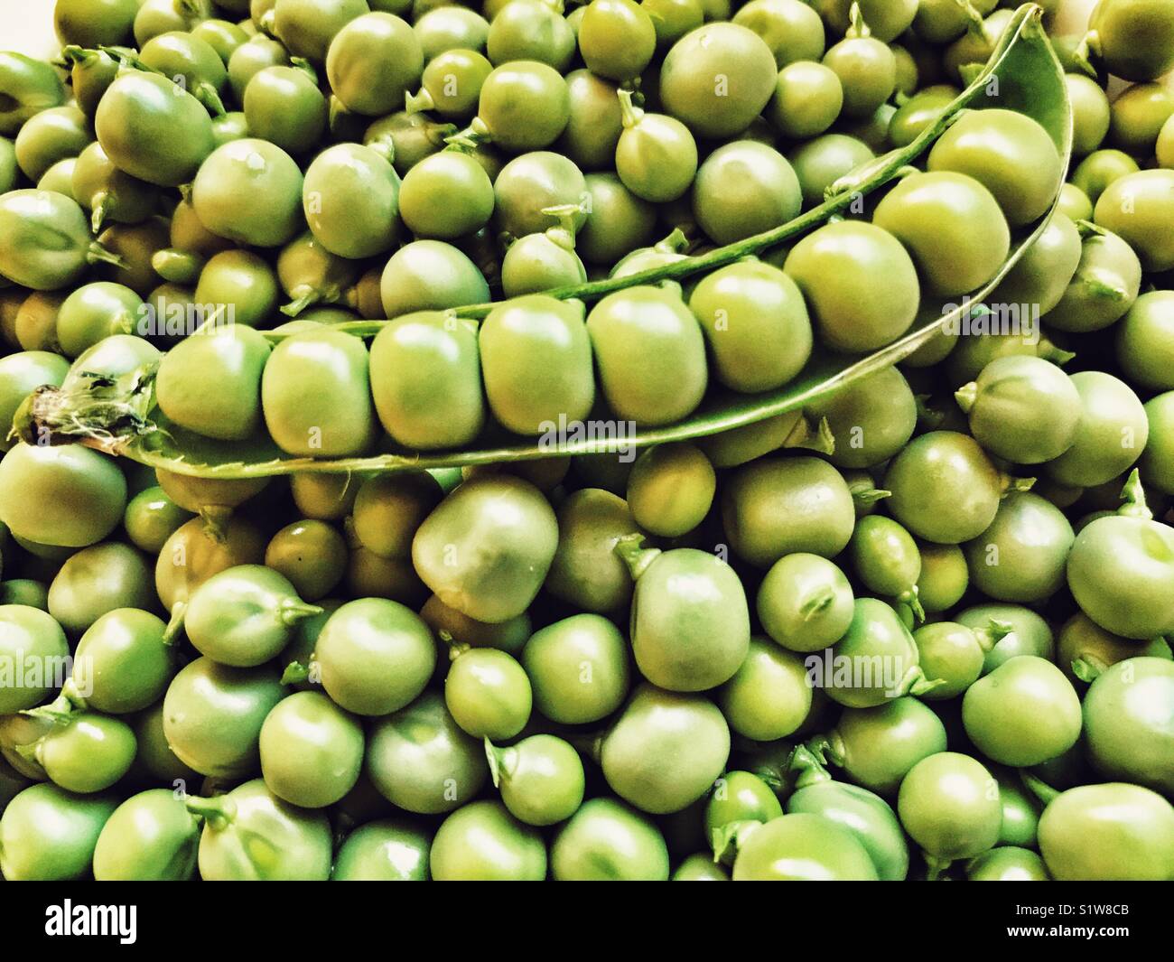 Fresh garden peas, and peas in a pod, high angle view Stock Photo