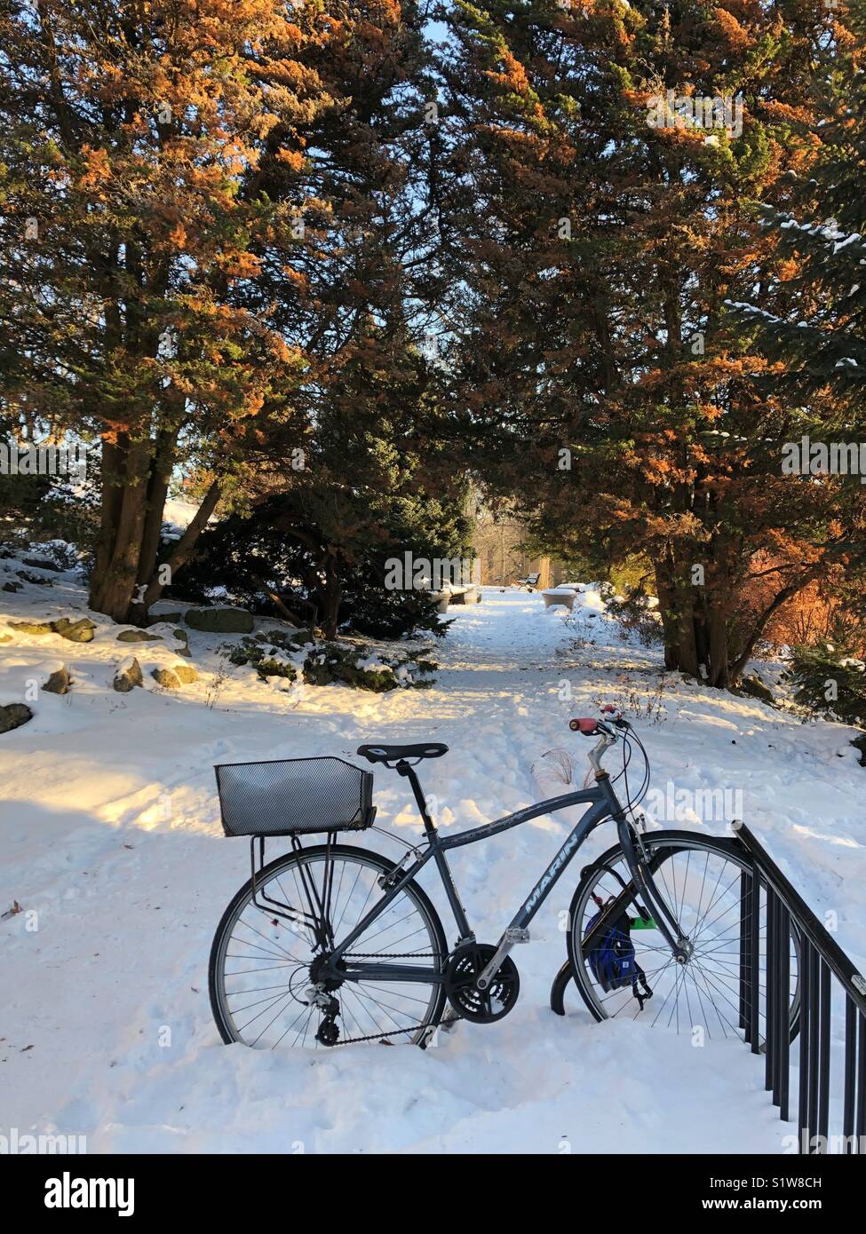 A bike parked in the snow. - Smartphone Captured Stock Image