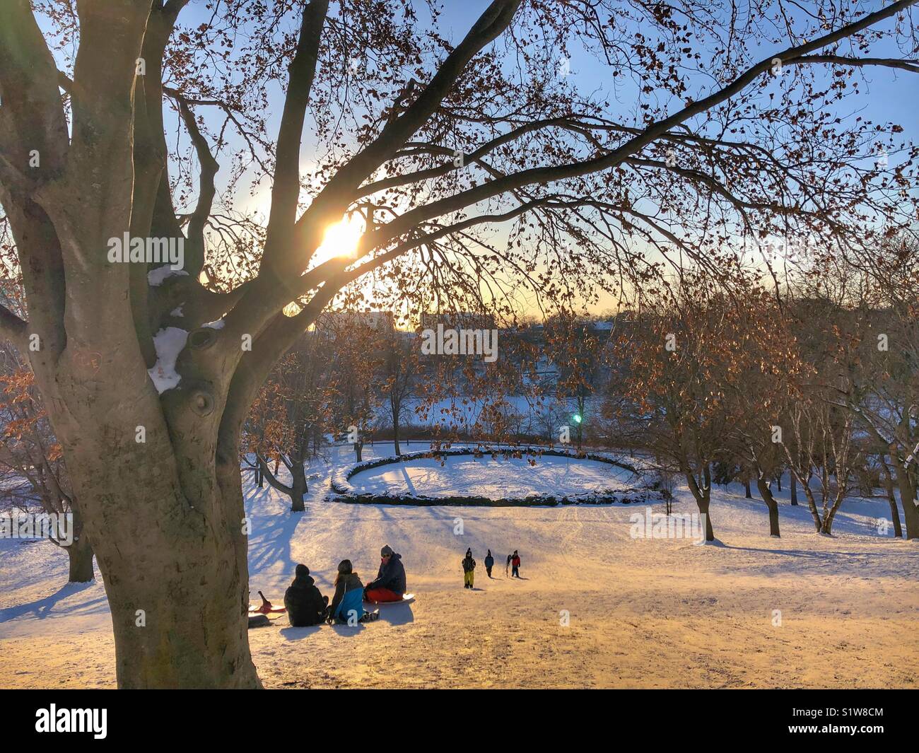People sitting on a snowy hill in High Park, Toronto. - Smartphone Captured Stock Image