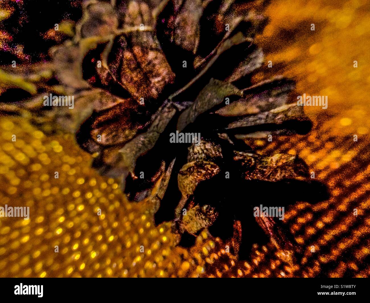 Pine cone on beaded placemat - Smartphone Captured Stock Image