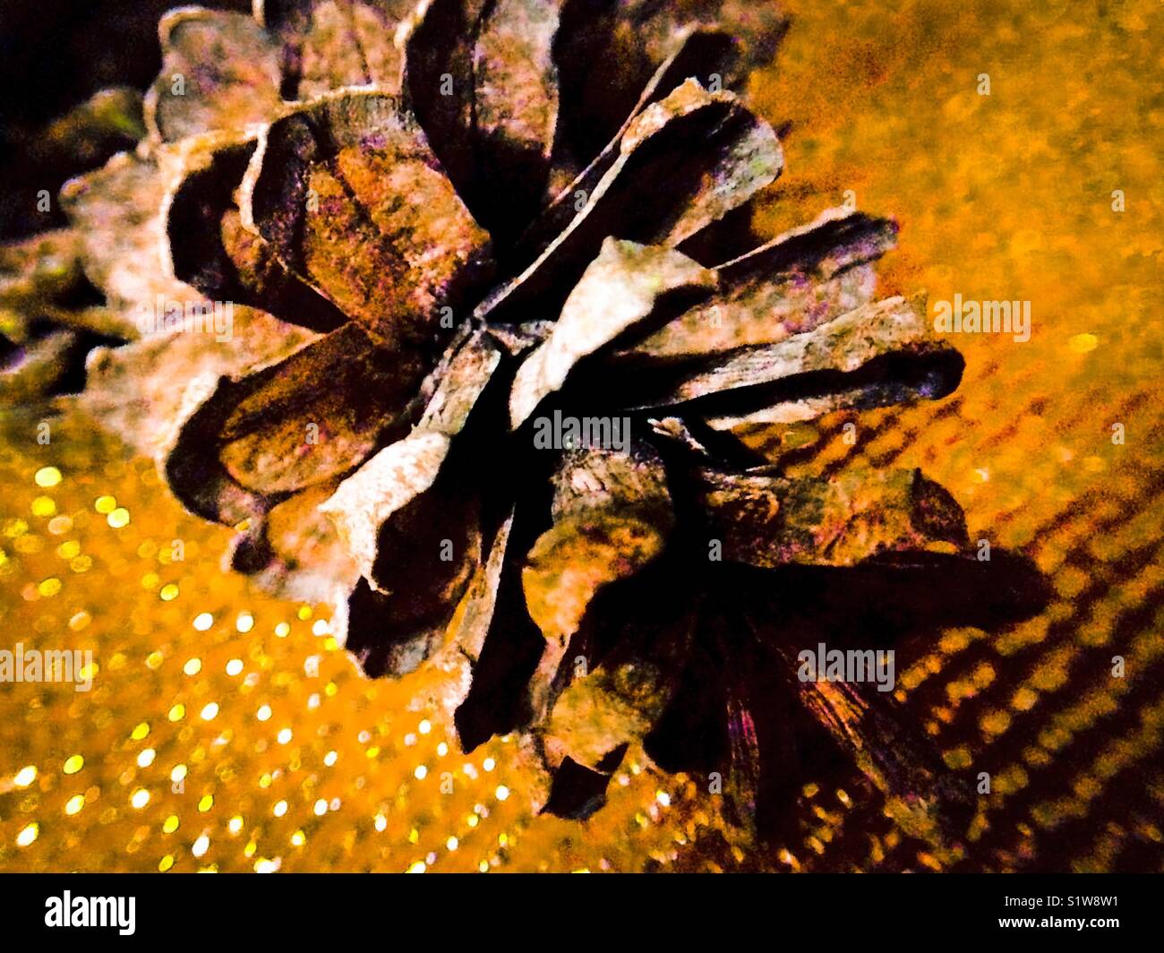 Christmas pinecone - Smartphone Captured Stock Image