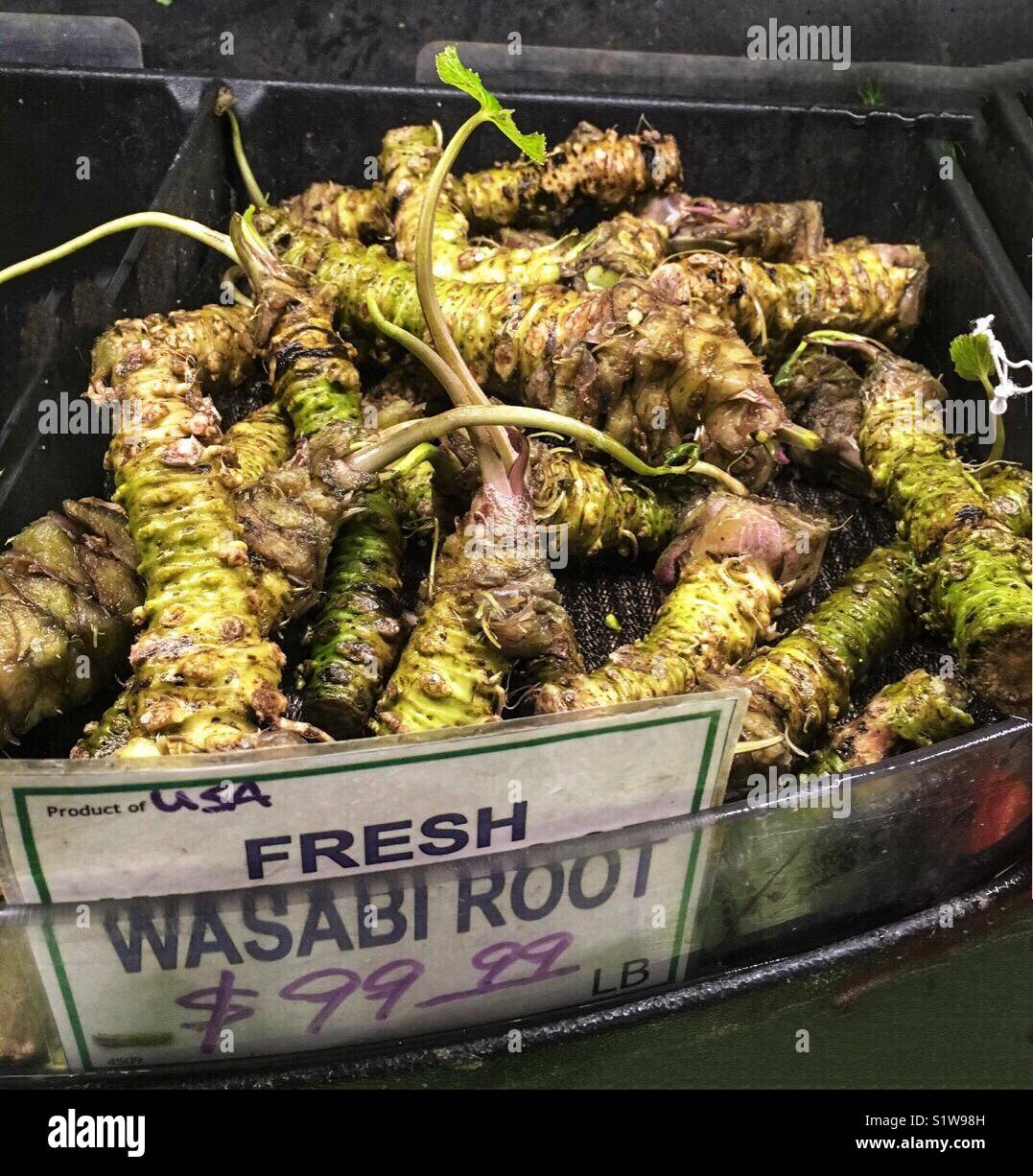 Fresh wasabi root - Smartphone Captured Stock Image