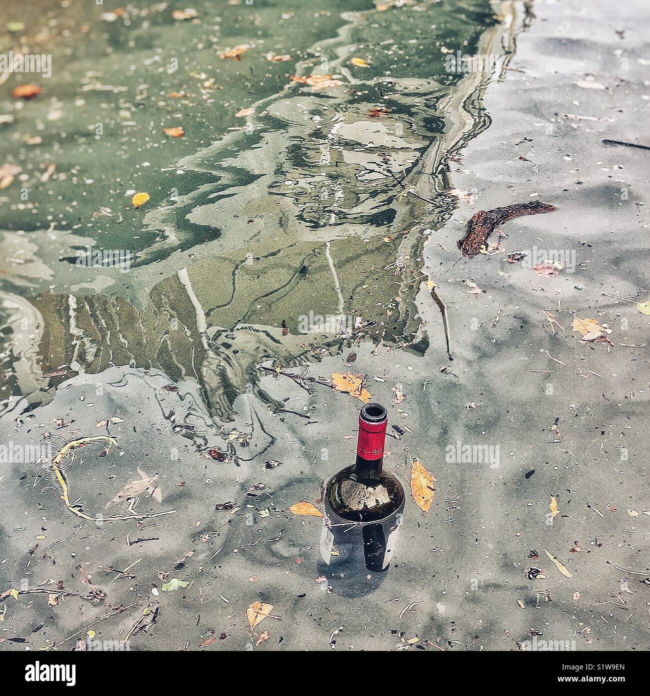 Empty wine bottle floating in the sea Stock Photo
