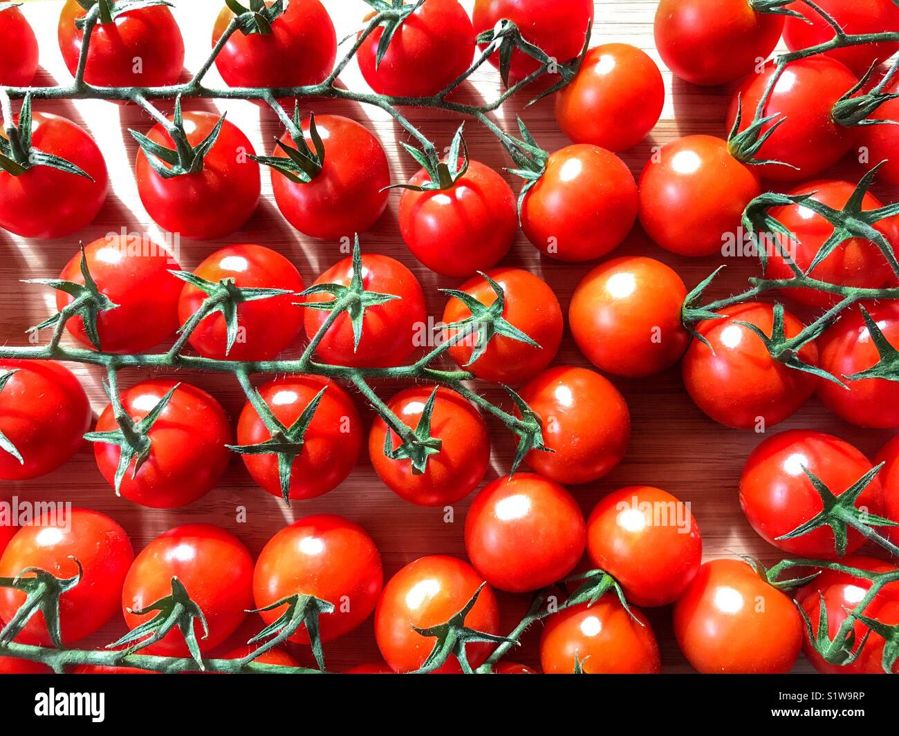 Cherry tomatoes on the vine, flat lay photography - Smartphone Captured Stock Image